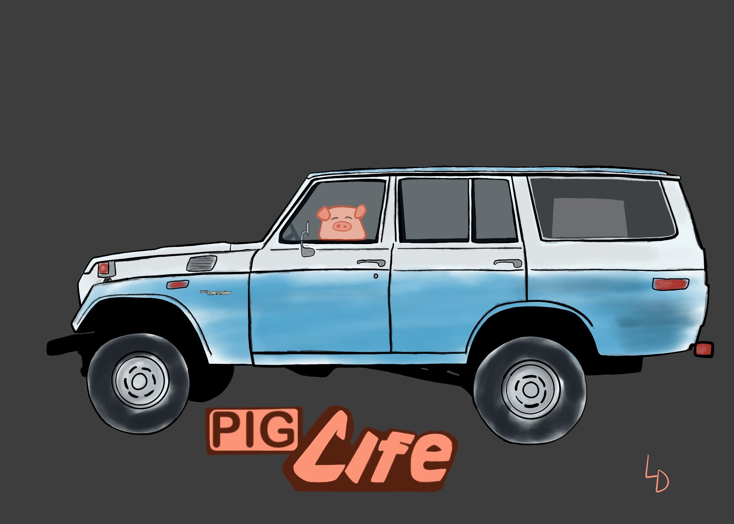 50_Series_Pig.jpg