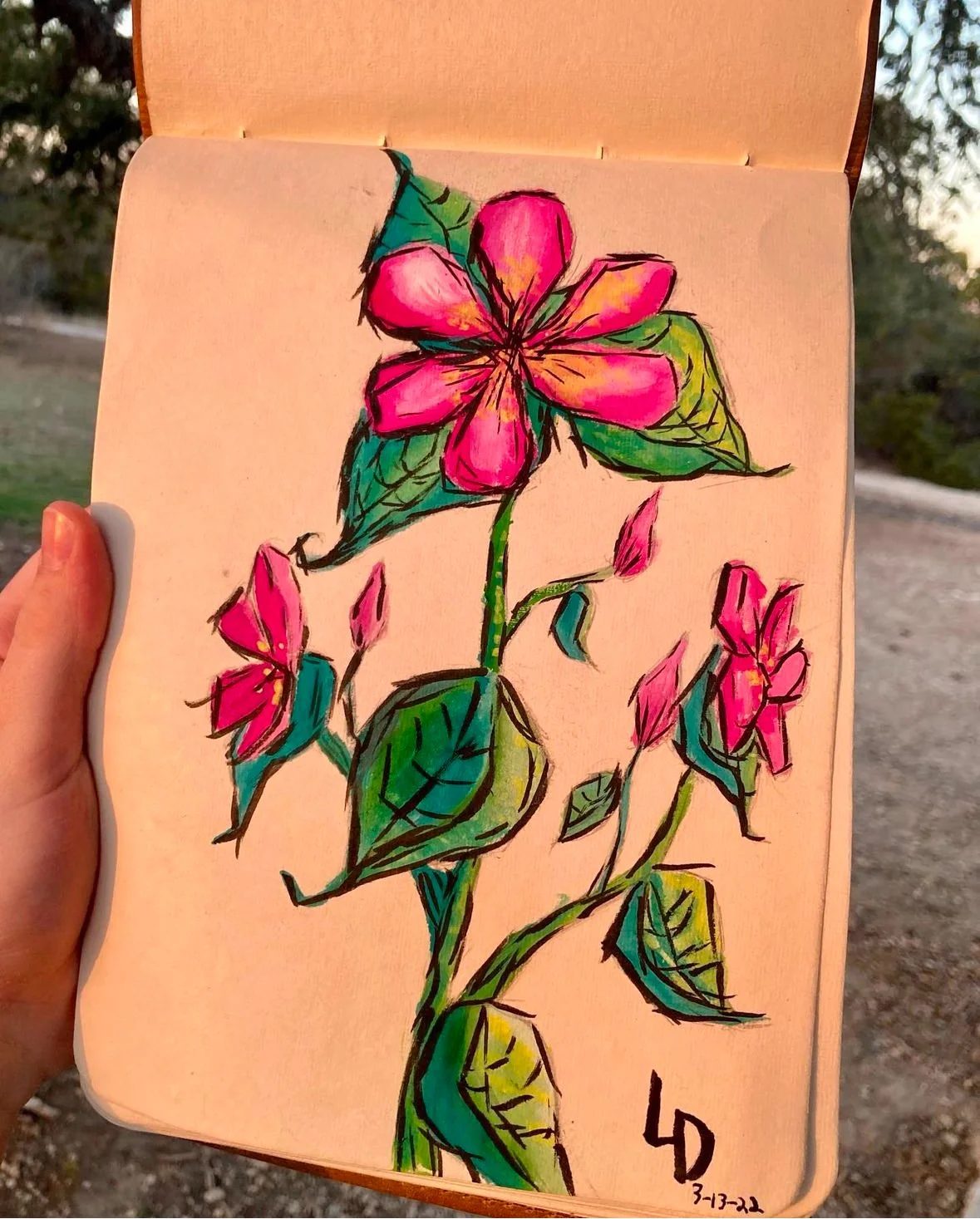 pink-flower.jpg