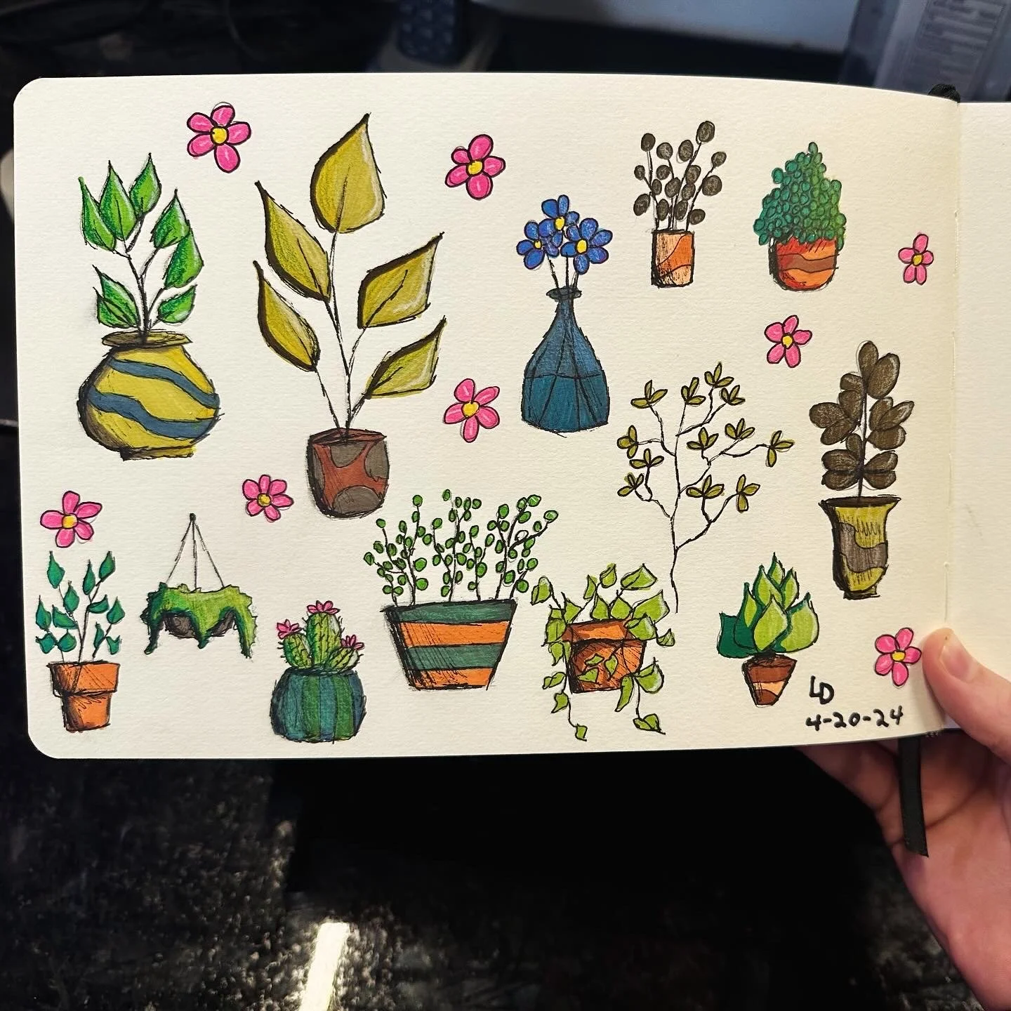 plant_sketches.JPG