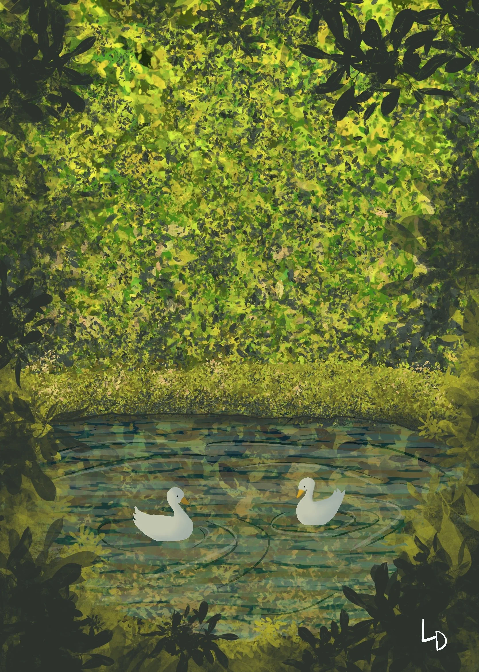 Ducks.jpg