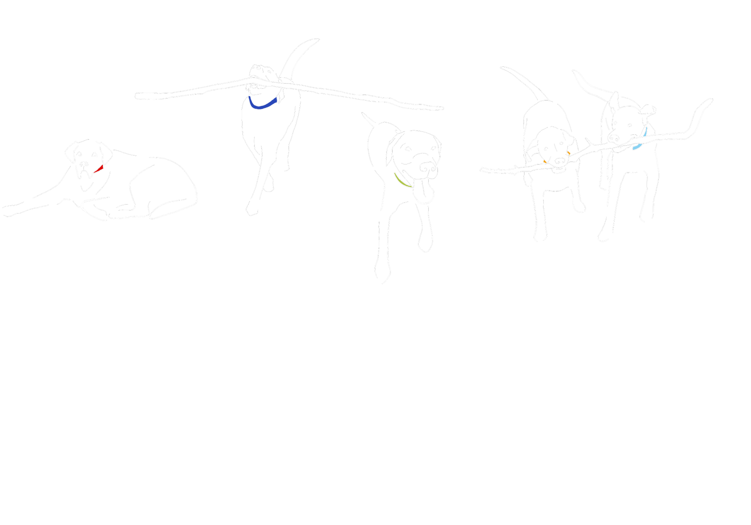 5_Labs.png
