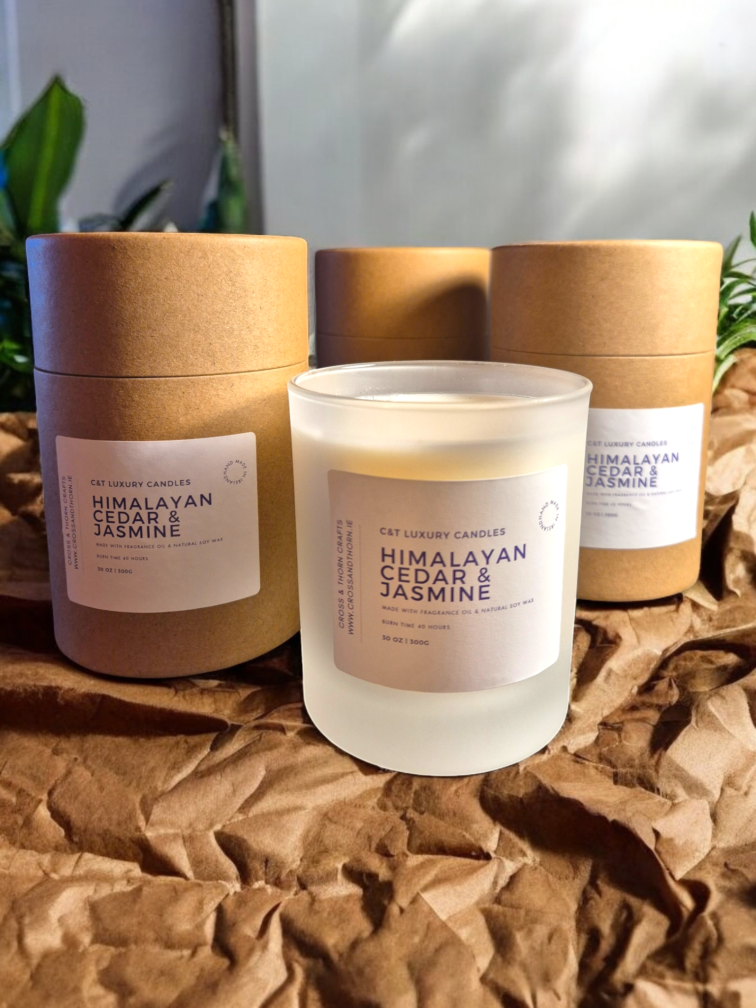 Himalayan Cedar & Jasmine 30cl Frosted Glass Scented Candle