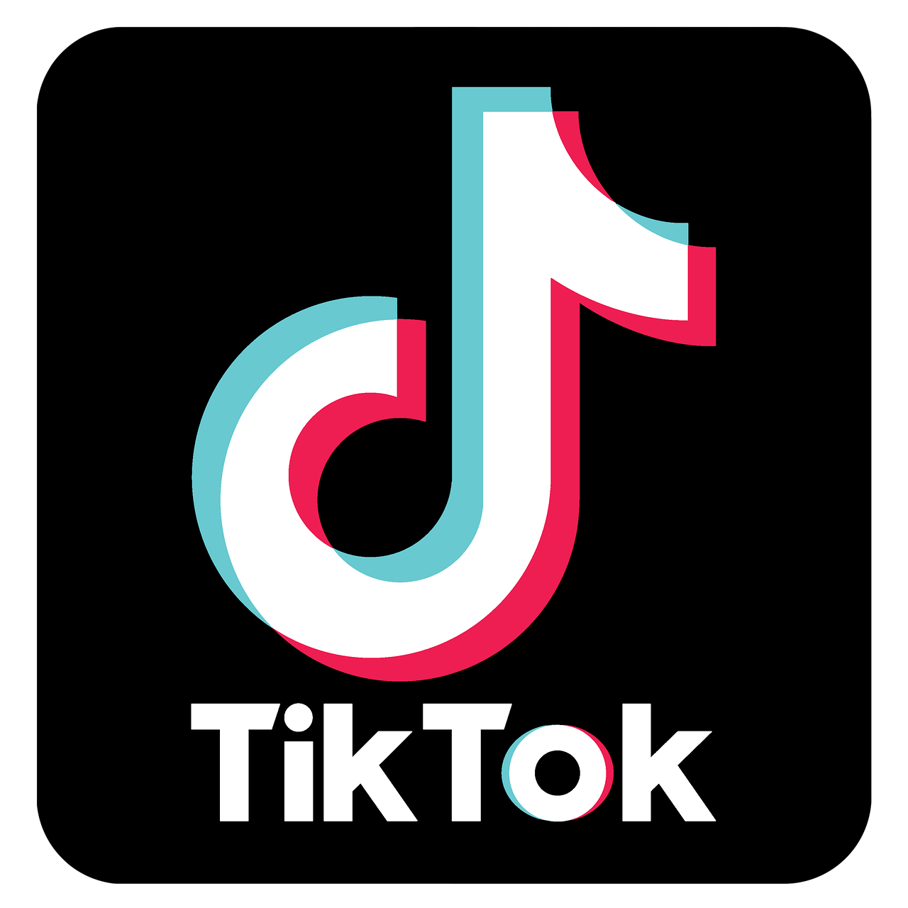 TikTok logo with the word 'TikTok' in white below the graphic on a black background.