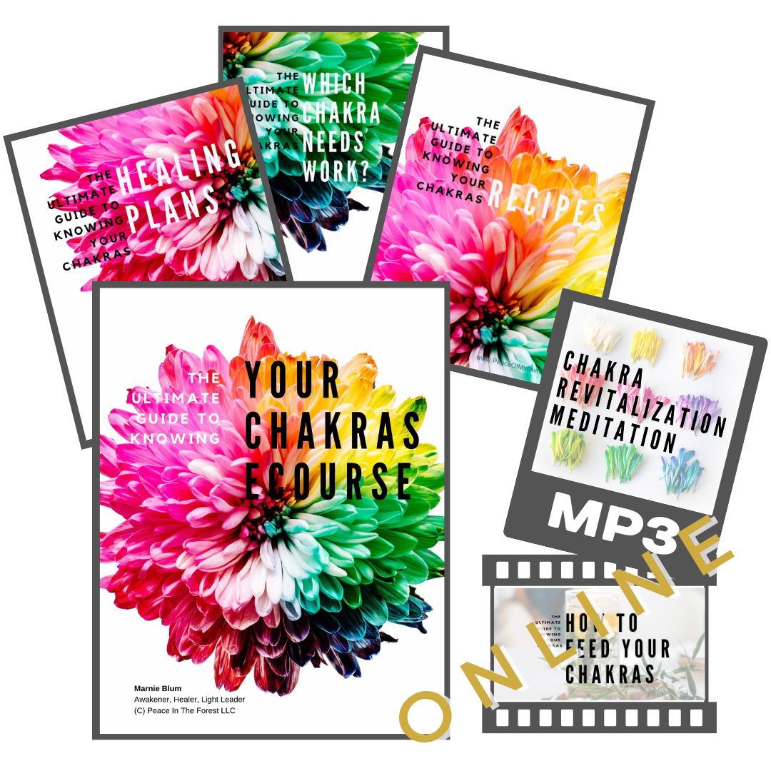 The Ultimate Guide To Knowing Your Chakras Course