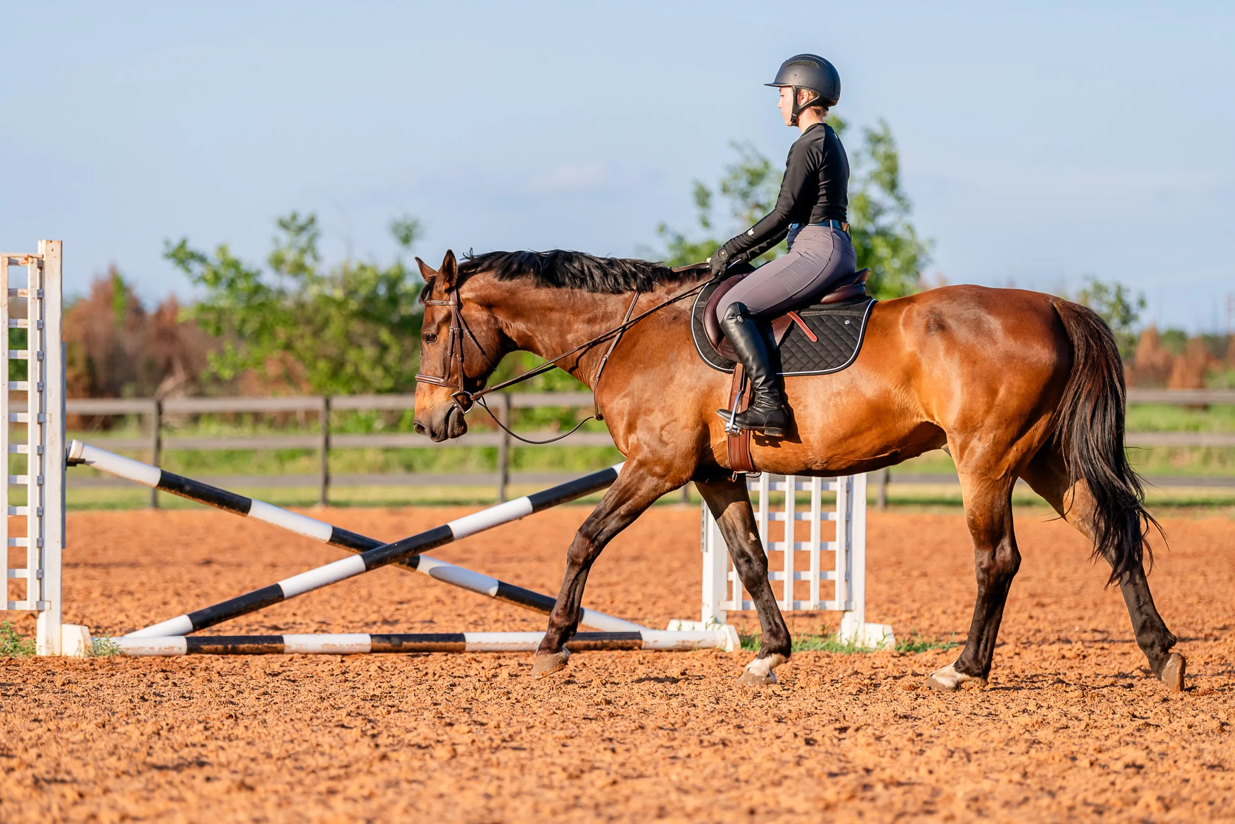 Girl riding horse through a transition