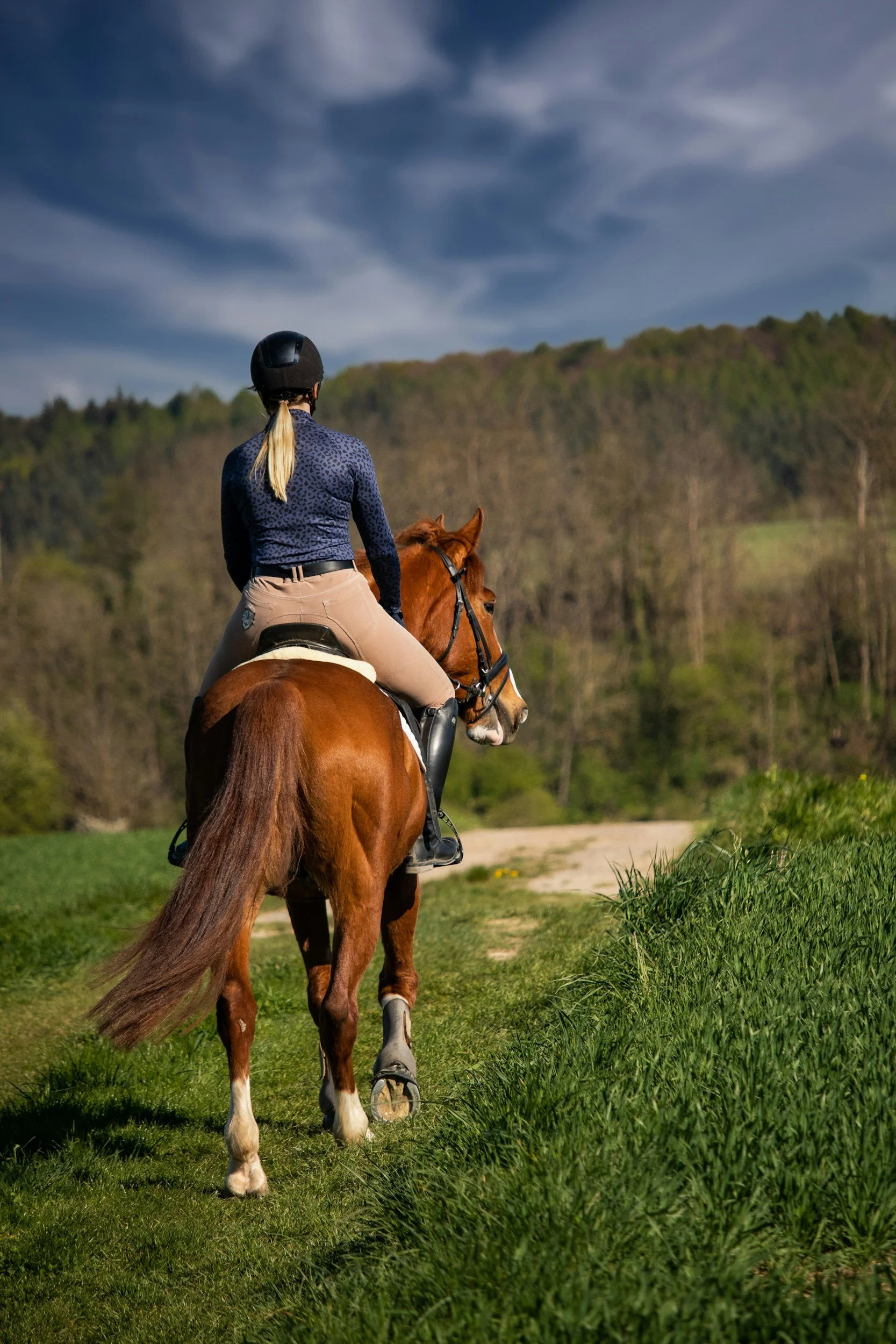 Woman riding a young horse out on a trail ride