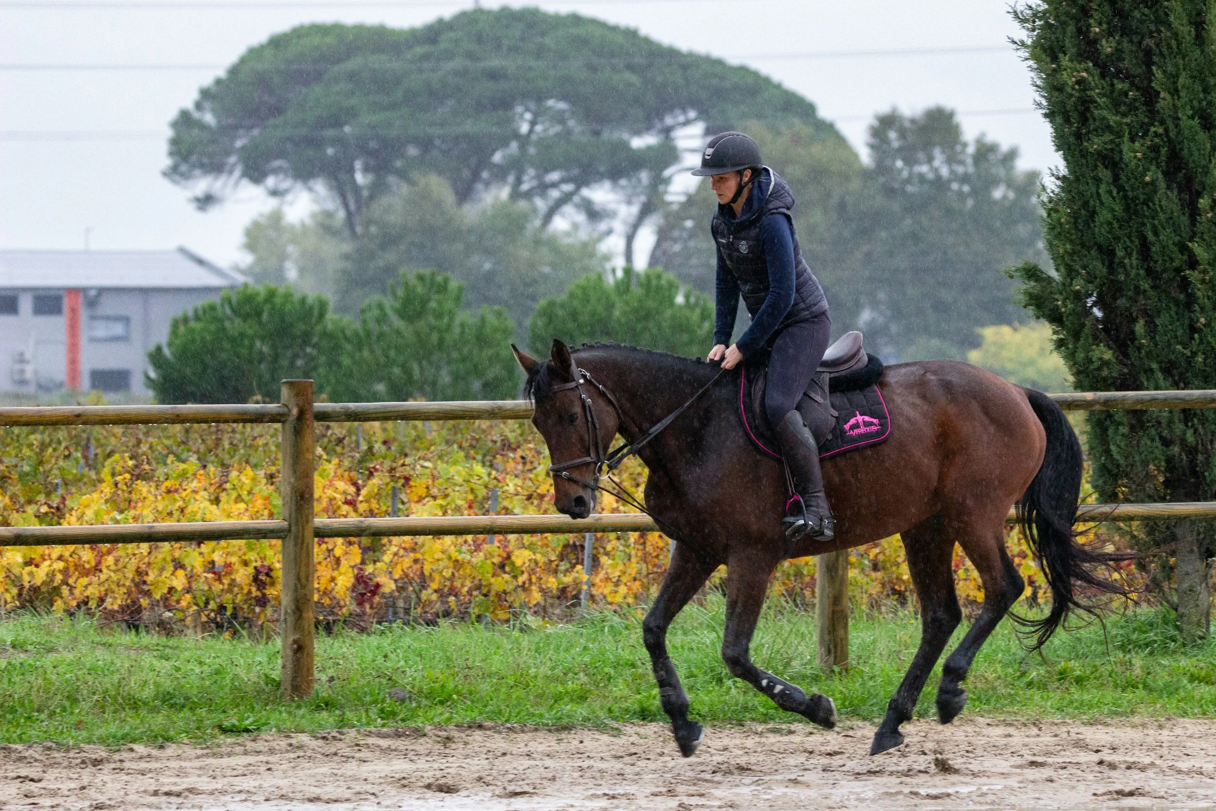 Trainer riding a young horse