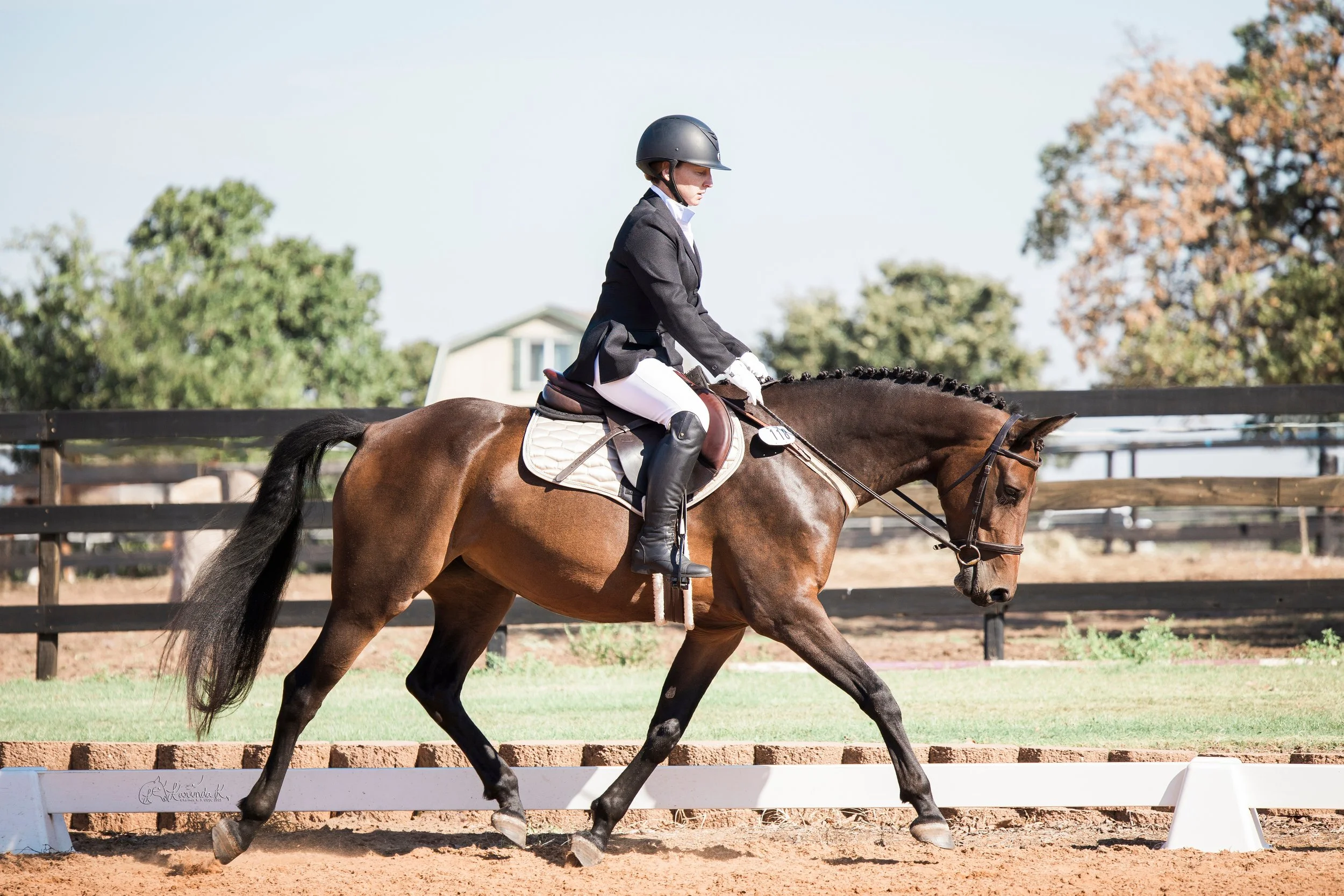 Showing a young horse in dressage