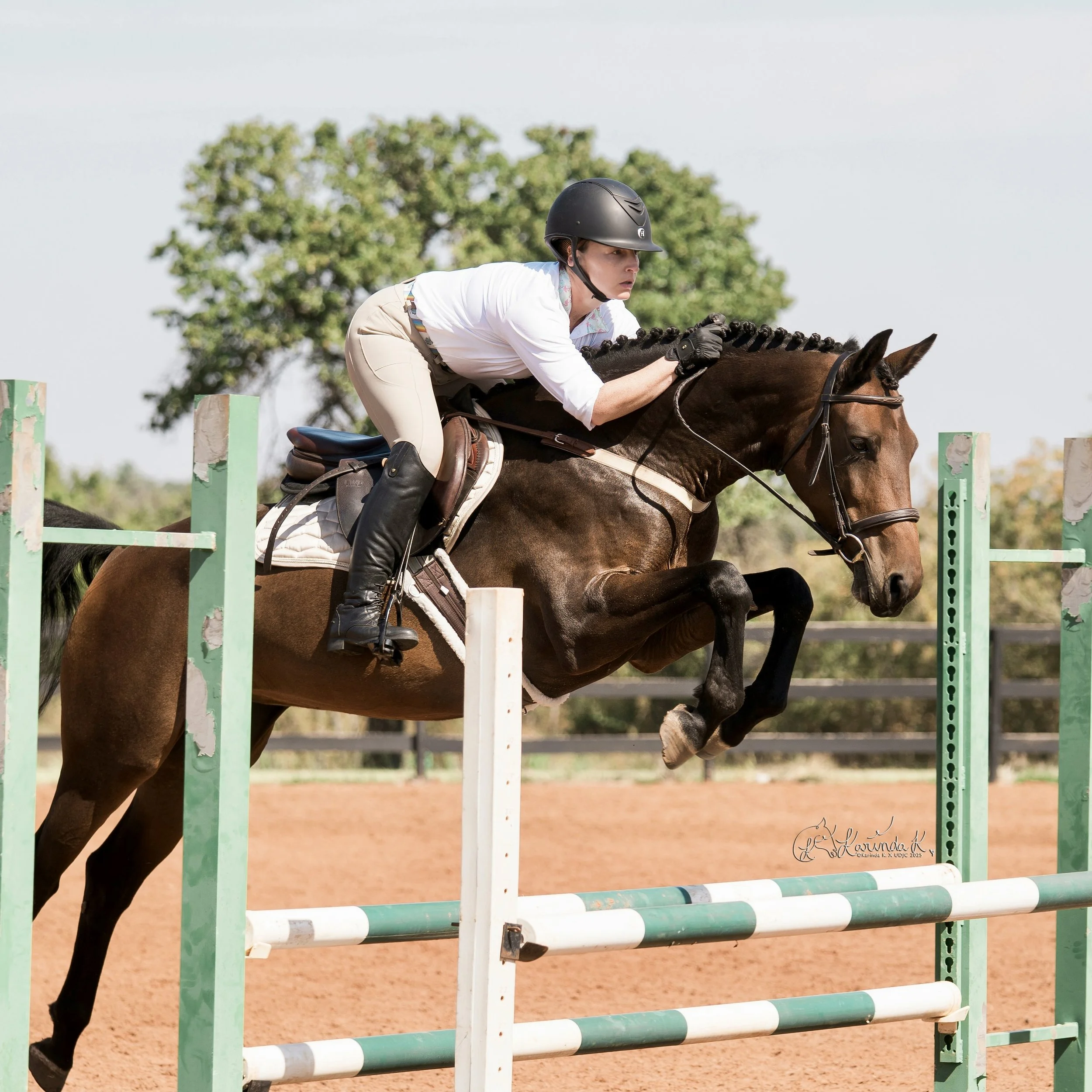 pro rider training a young horse