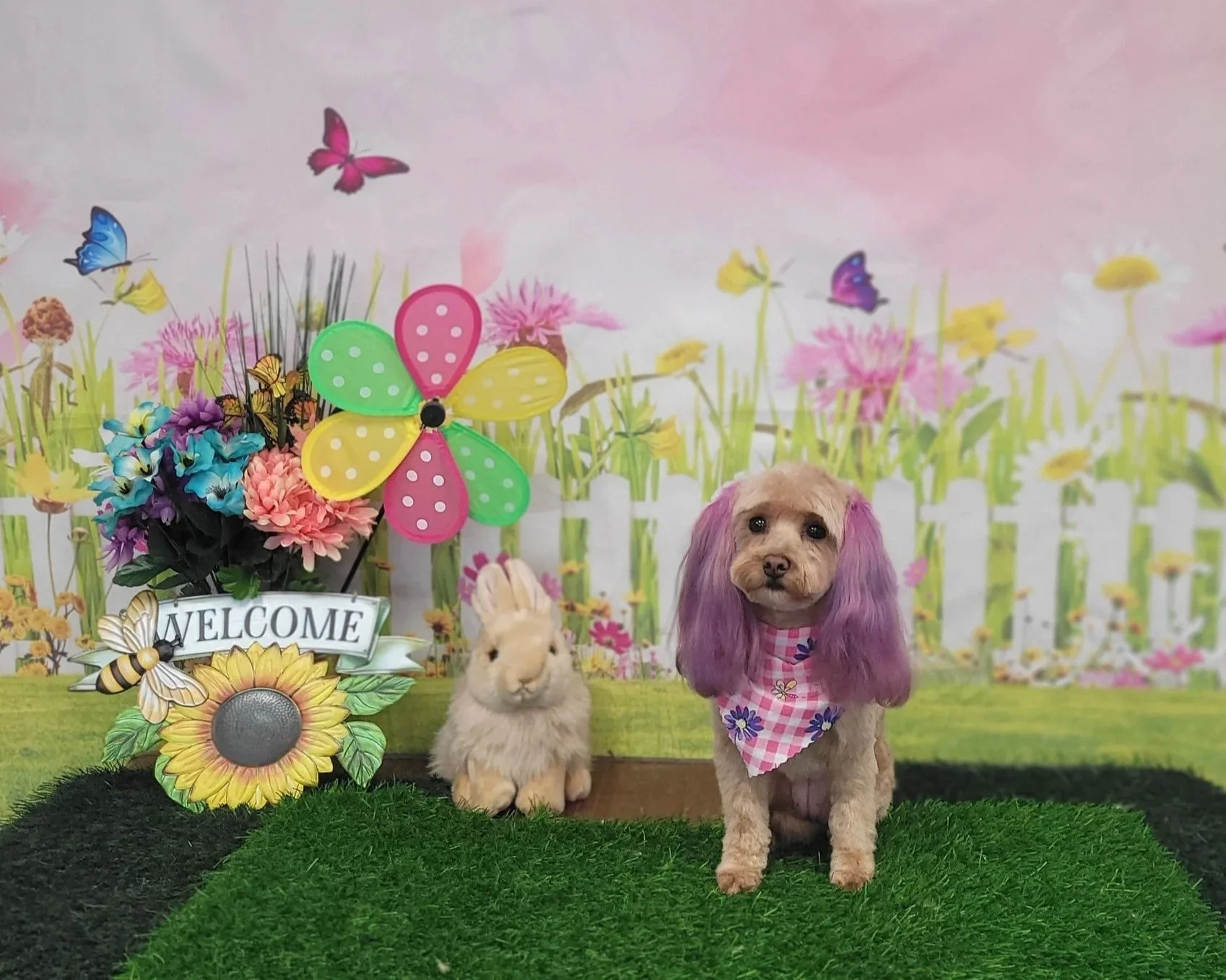 A small dog with purple ears and a plaid bandana sitting next to a stuffed bunny with a floral background and colorful paper flowers and butterflies.