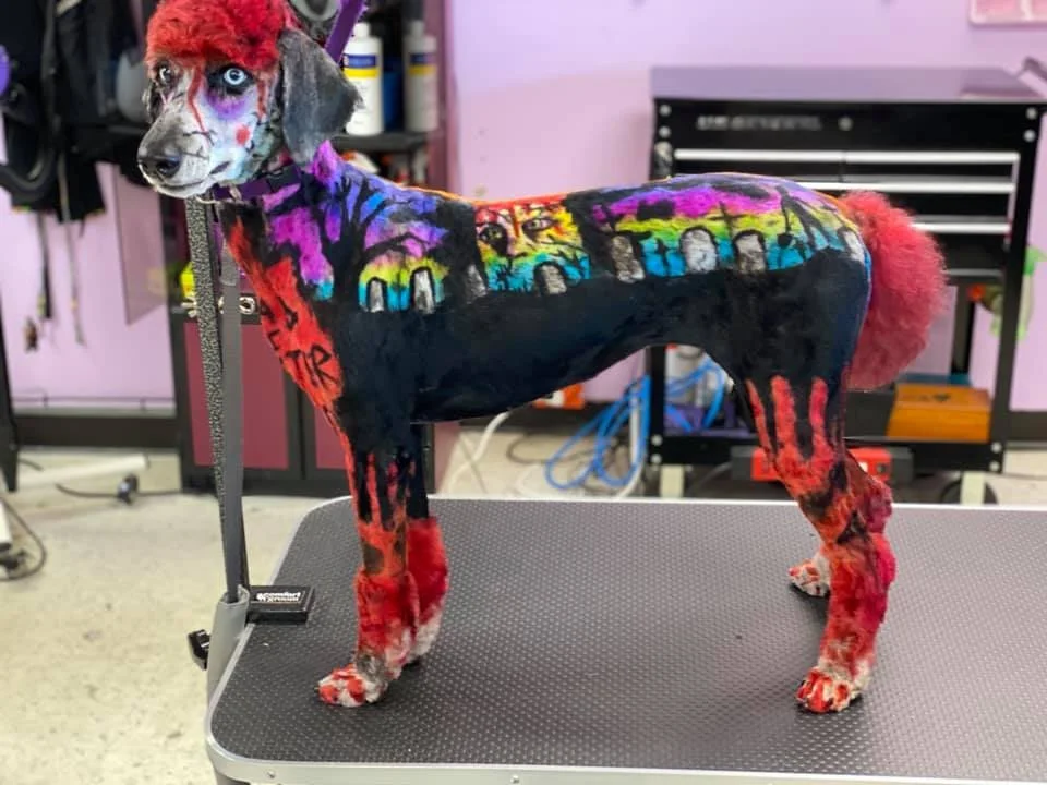 A dog with colorful, artistic face paint and body resembling a painted canvas, standing on a grooming table in a grooming salon.
