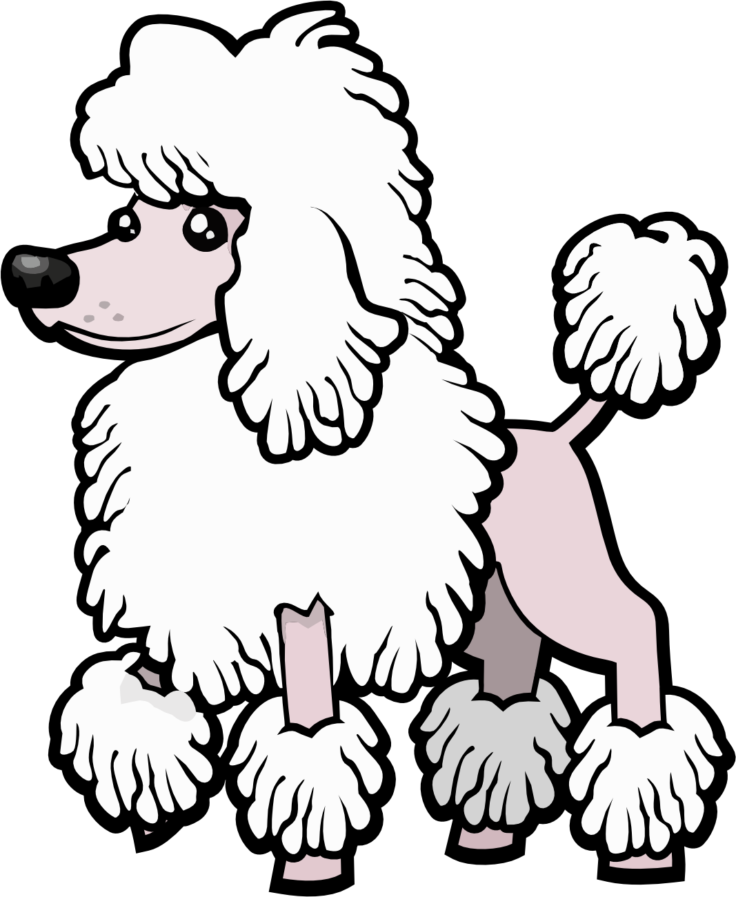 Cartoon illustration of a poodle dog with white fluffy fur on a black background.