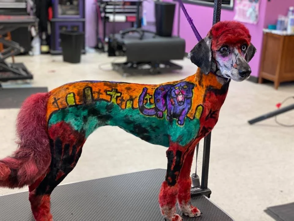 Dog with body painted in colorful, abstract art including a purple dog and cityscape, on grooming table in salon or pet grooming shop.