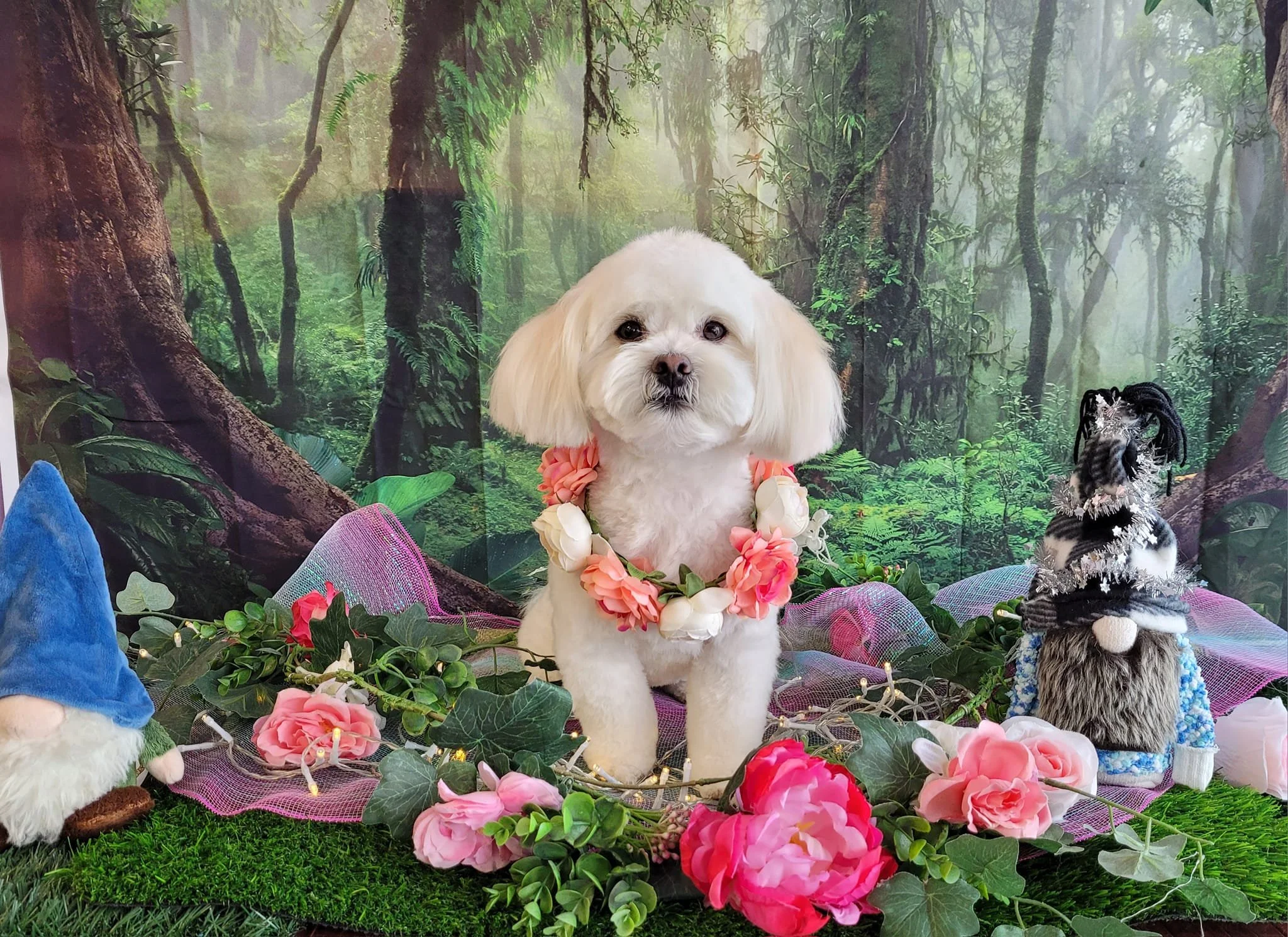 A small white dog with long ears and dark eyes, wearing a pink flower lei, sitting amid pink flowers, greenery, and plush toys, with a forest scene background.