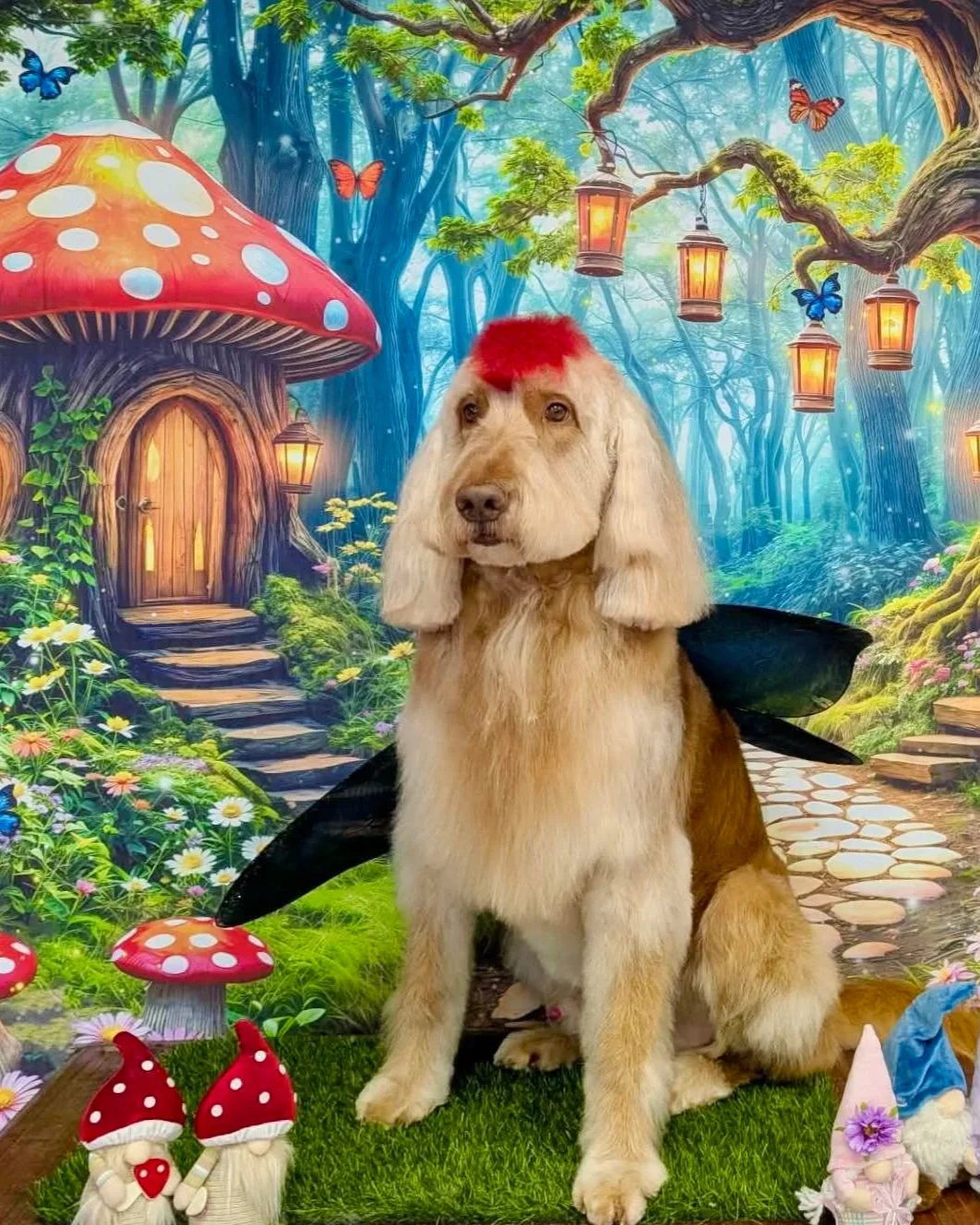 A dog with fairy wings and a red mohawk sitting in a colorful fantasy forest scene with mushroom toadstools, flowers, and glowing lanterns.