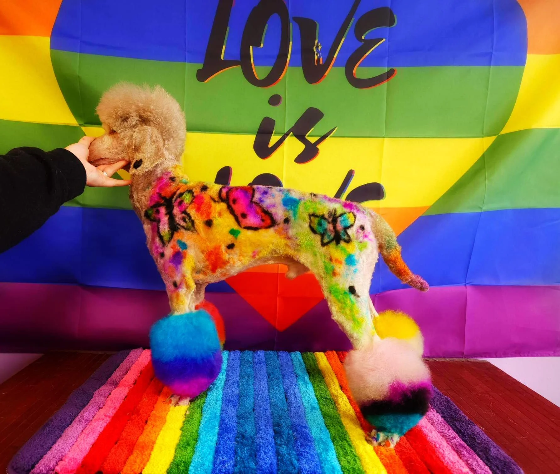 Colorful plush dog with rainbow-colored fur and blue, yellow, green, orange, pink, and purple pom-poms, standing on a rainbow striped rug in front of a rainbow pride flag backdrop with the word 'LOVE' written.