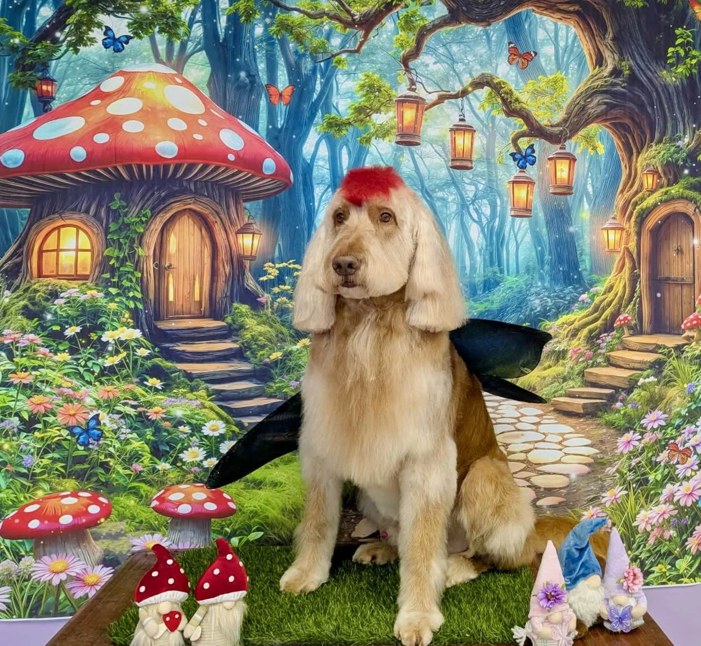 A dog dressed as a fairy with black wings sitting in a whimsical forest scene with mushroom houses, flowers, butterflies, and fairy garden decorations.