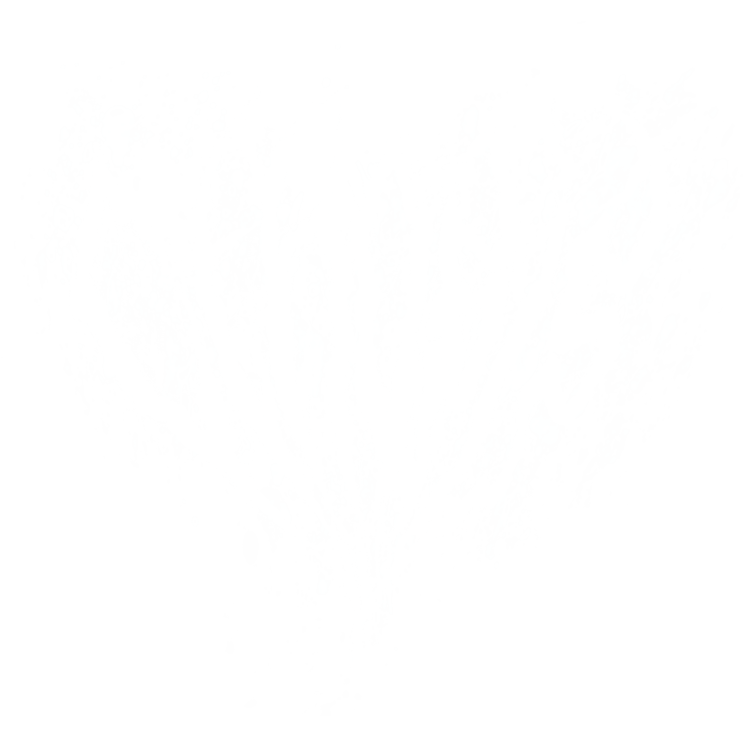 Cthosis