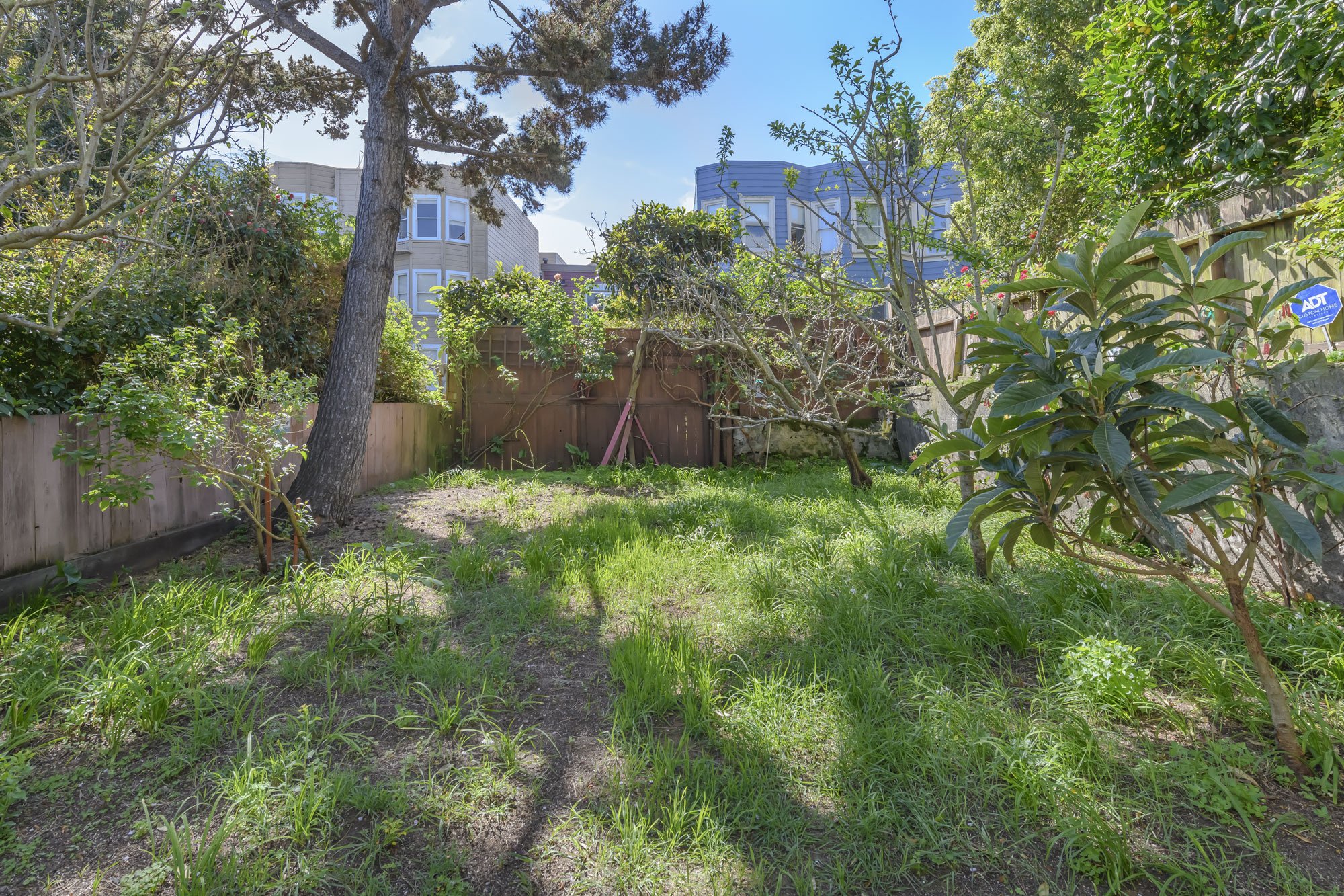 A backyard with green grass, trees, and bushes, surrounded by a wooden fence, with neighboring houses visible in the background on a sunny day.
