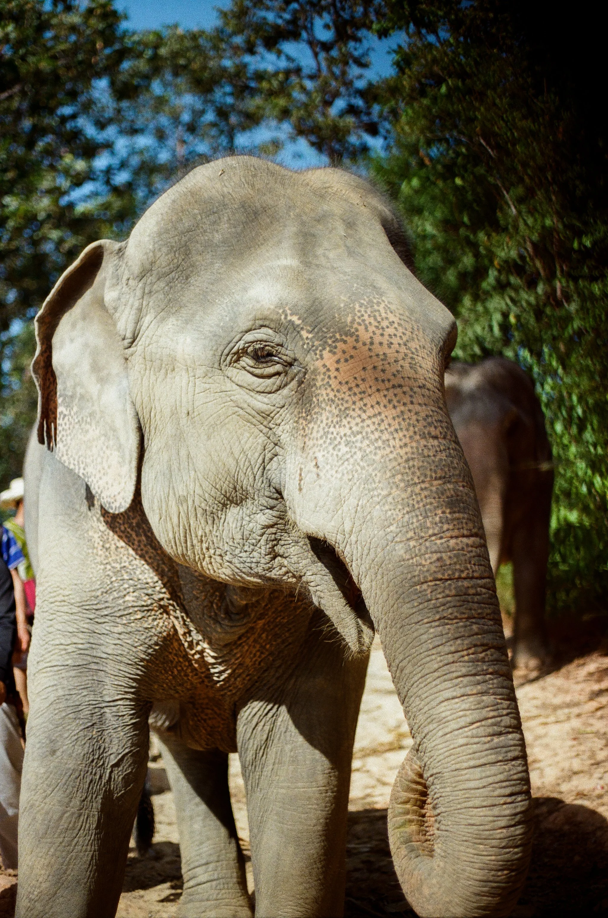 000544370022 copy.jpg