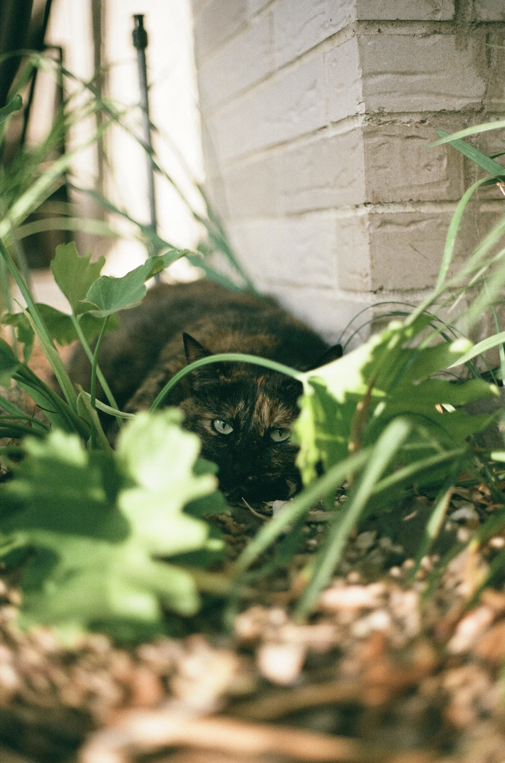 001113340033 copy.jpg