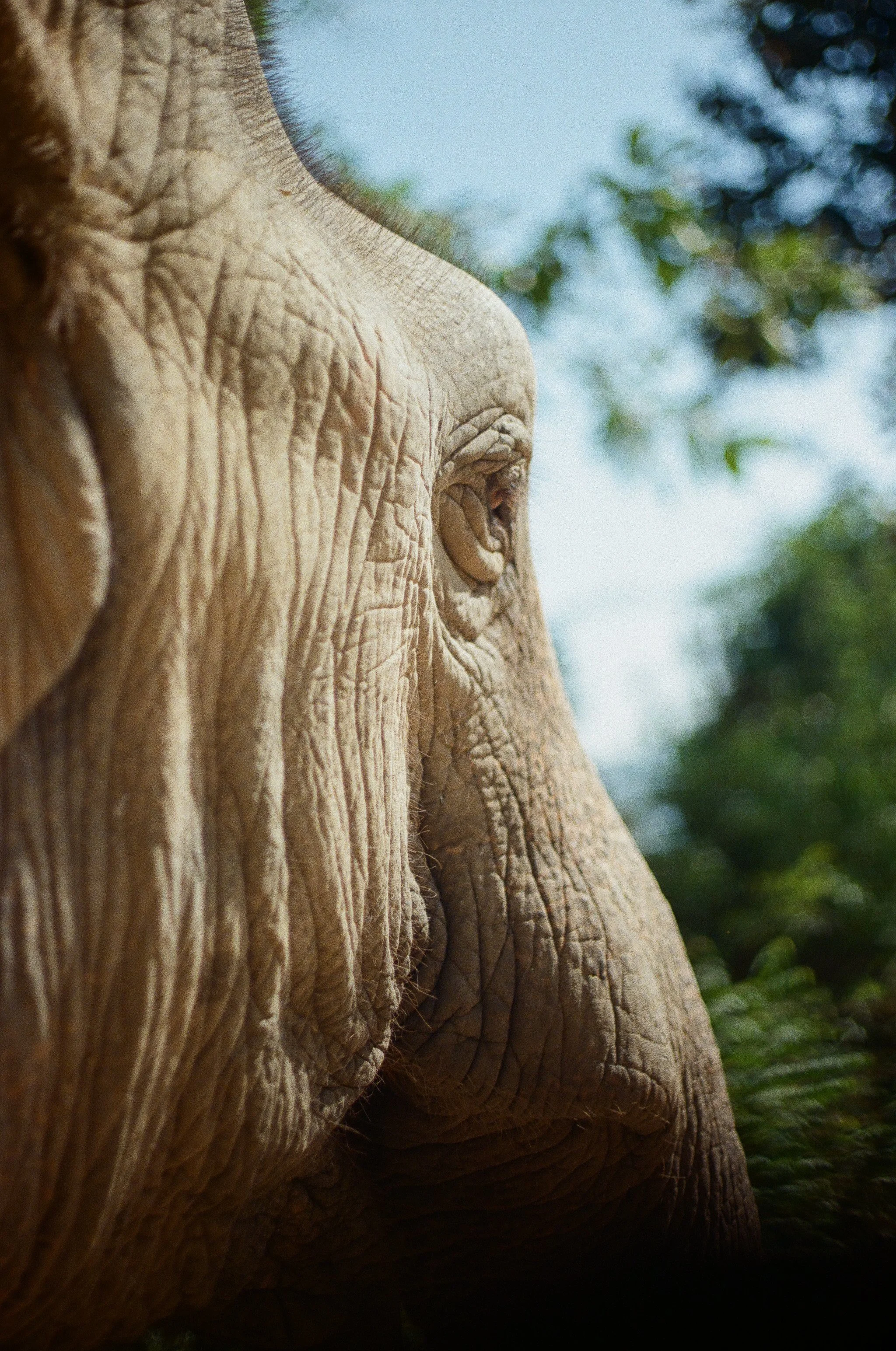 000544370023 copy.jpg