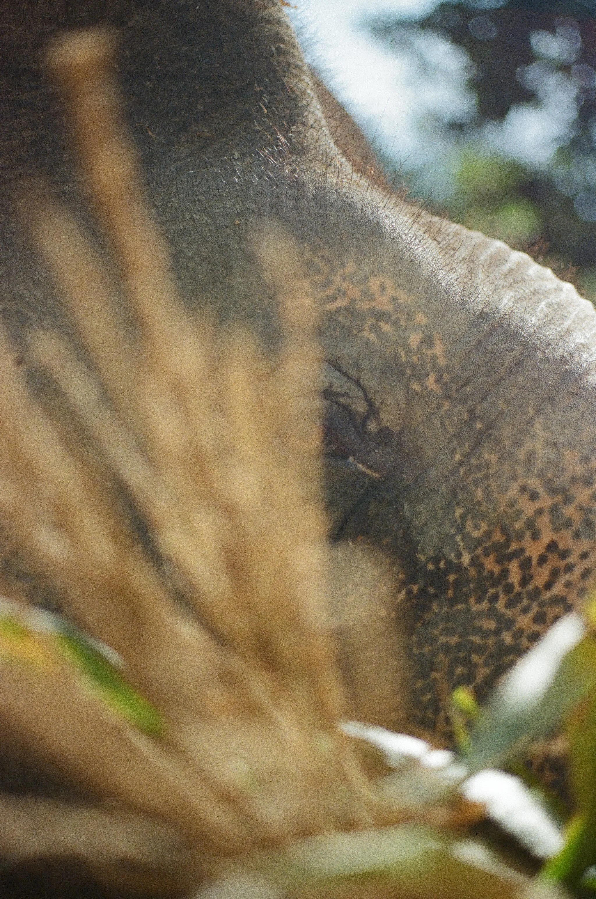 000544370026 copy.jpg