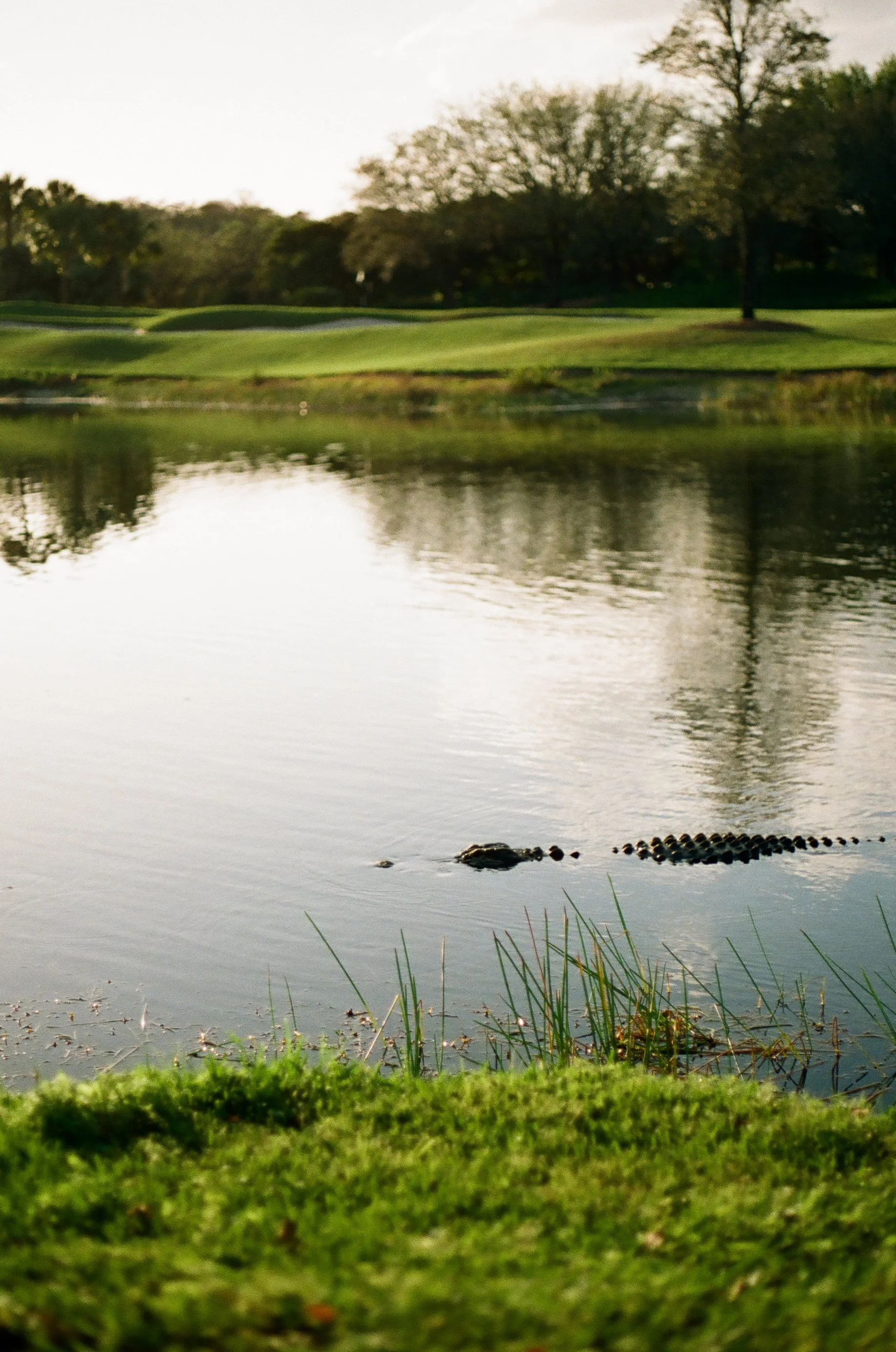 000346830013 copy-2.jpg