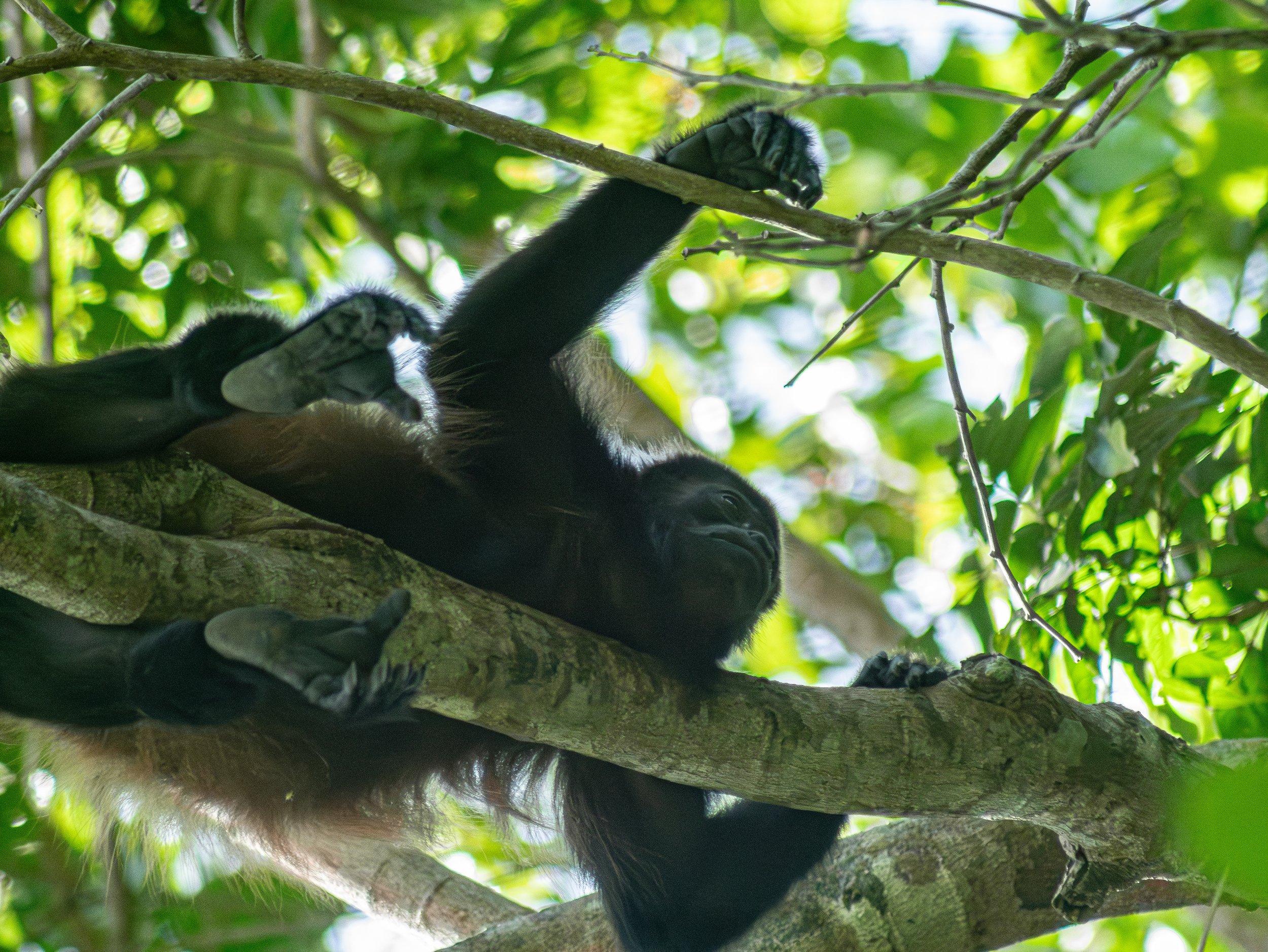 P1140105-Enhanced-NR-2 copy.jpg