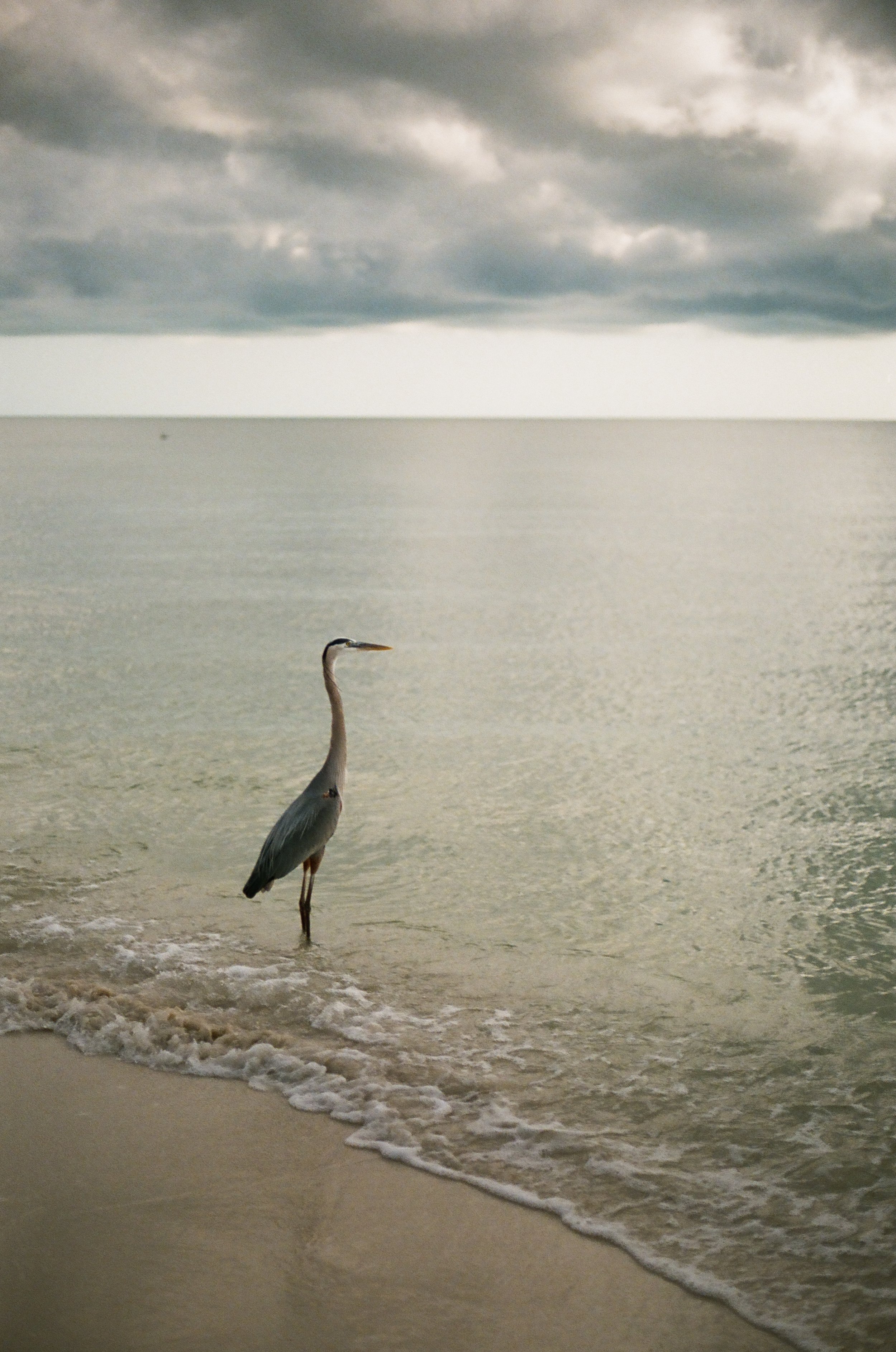 000346830029 copy.jpg