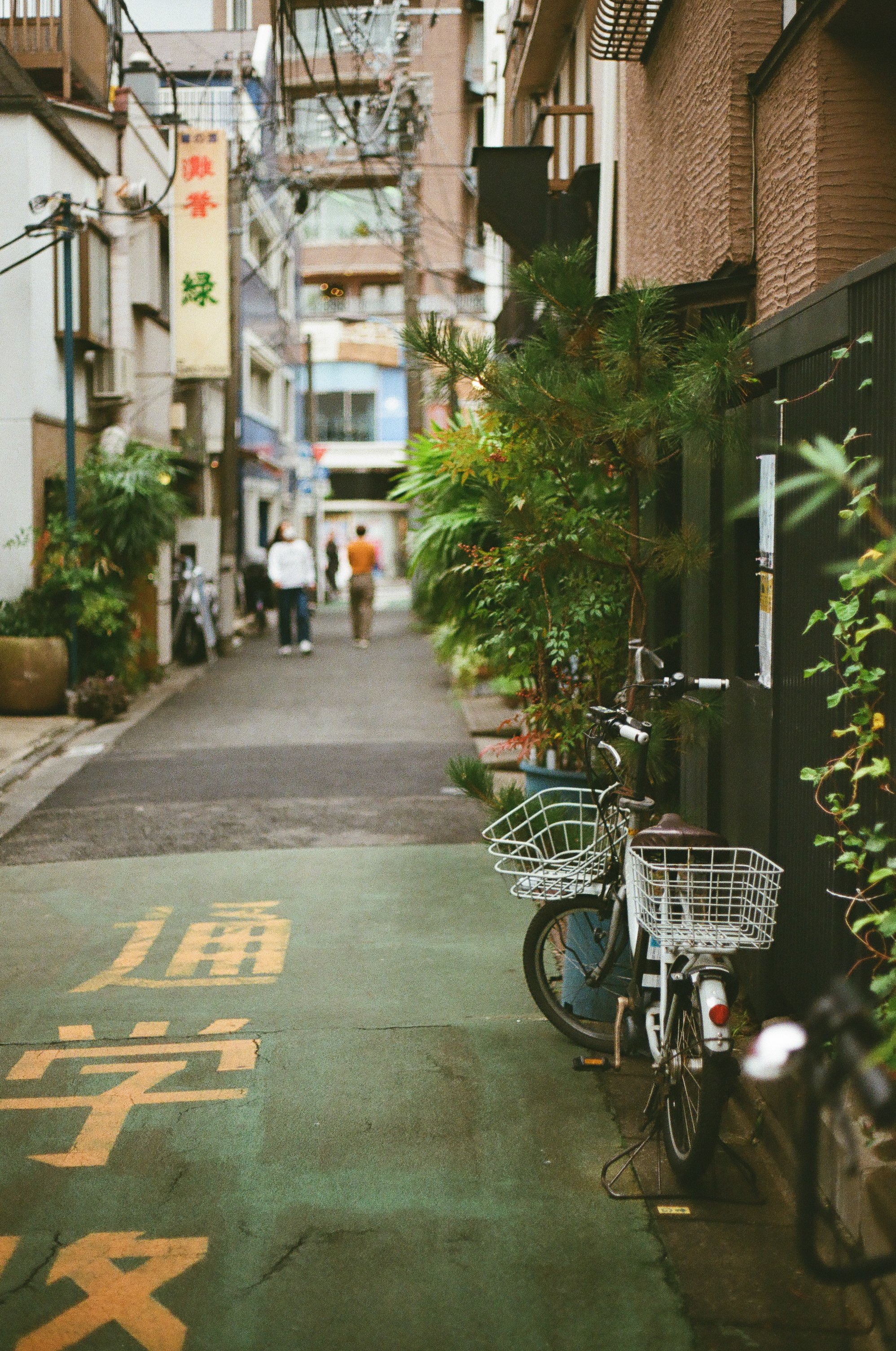 000544360030 copy.jpg