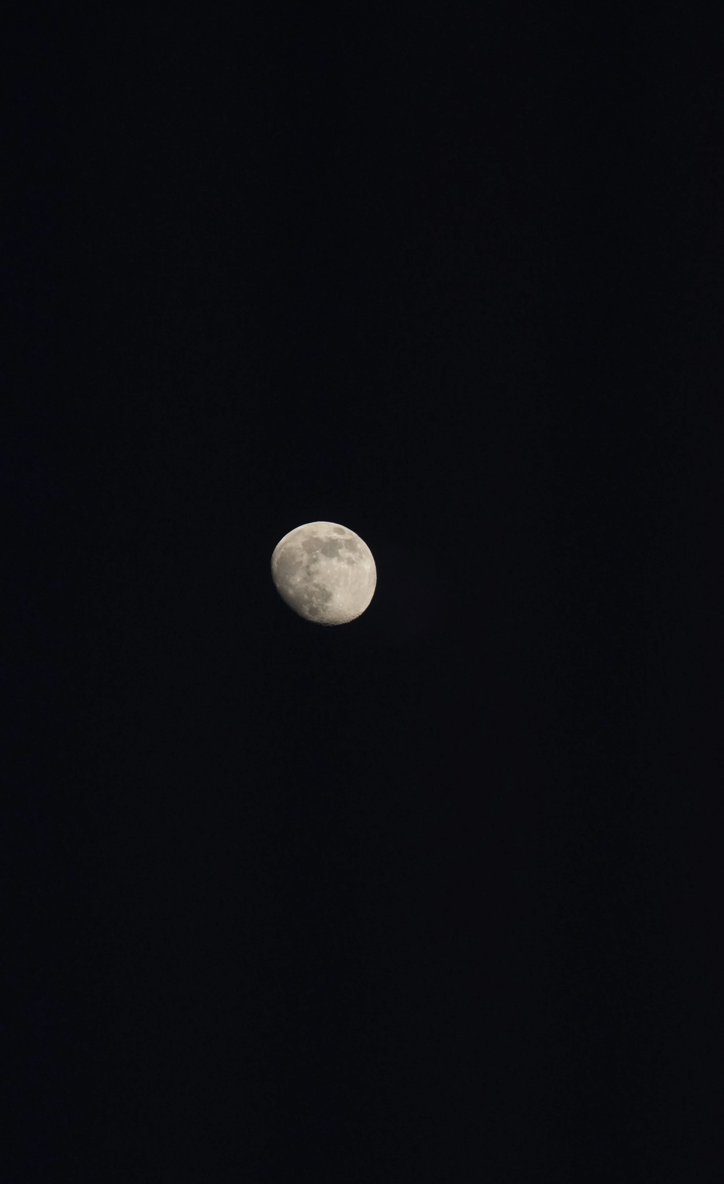 DSC05287.png