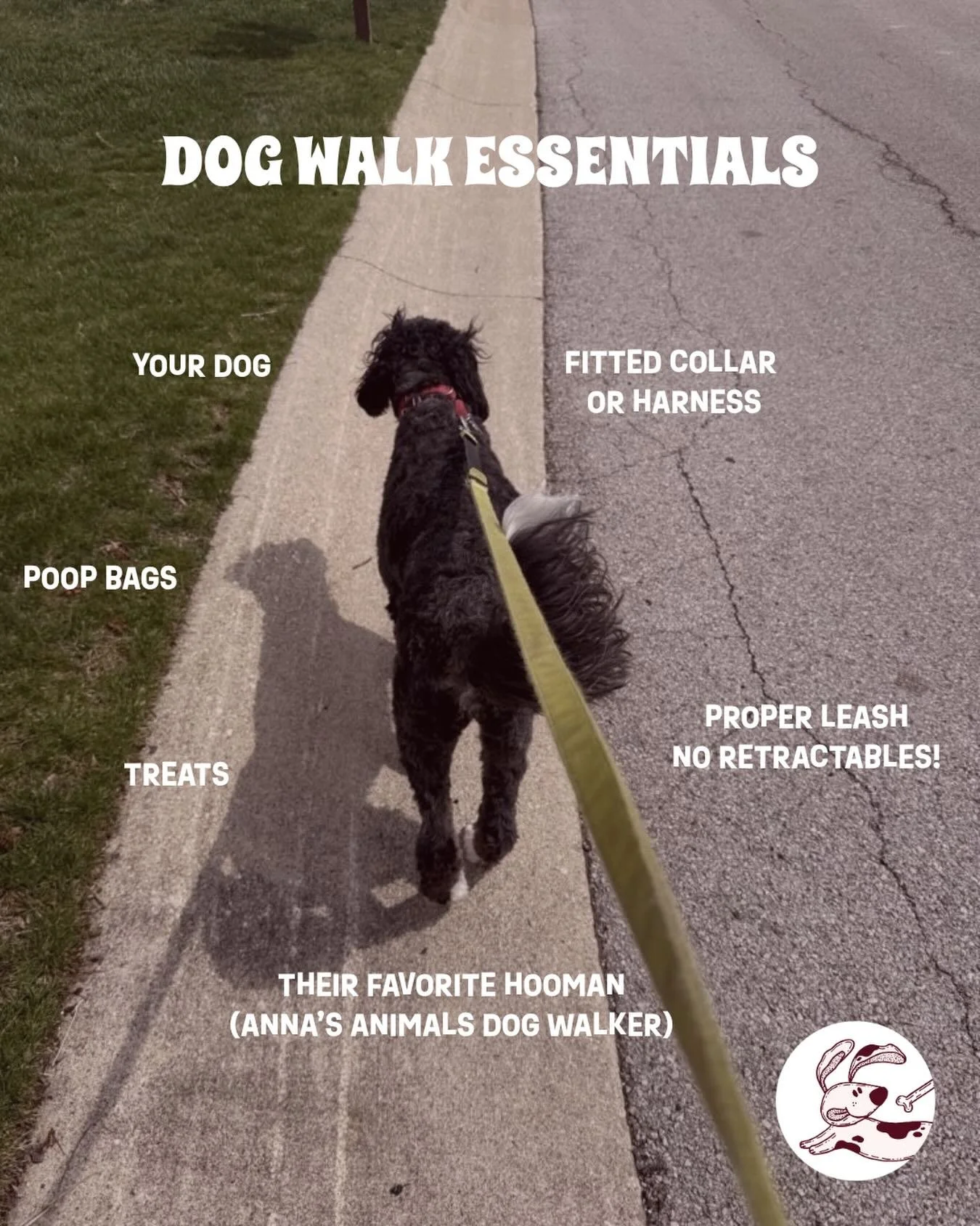 Gotta have the essentials! Our favorite? Your dog. 🤭