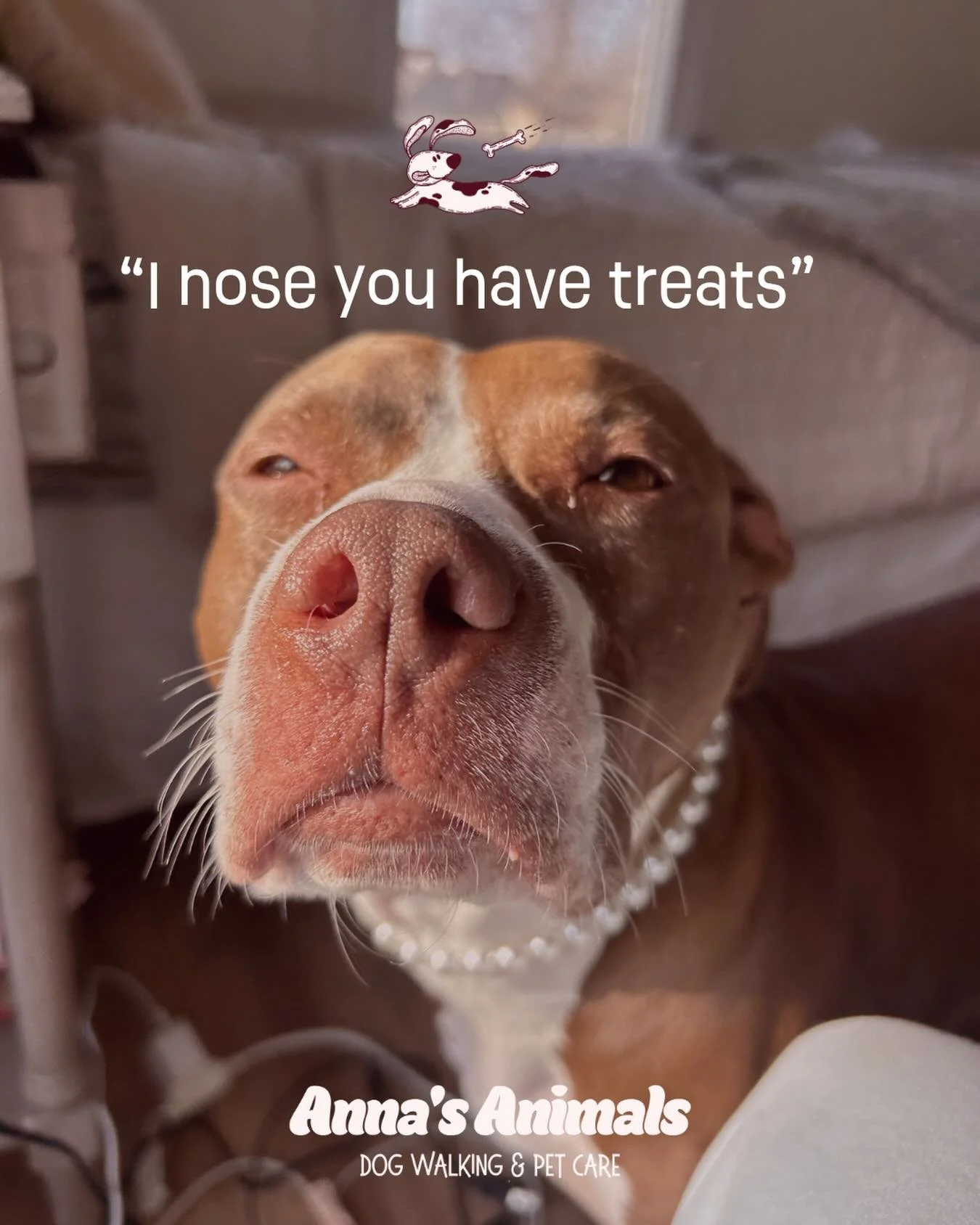 No empty promises orrrr empty pockets here 🤭

#petcare #dogsarethebest #dogwalkingservice