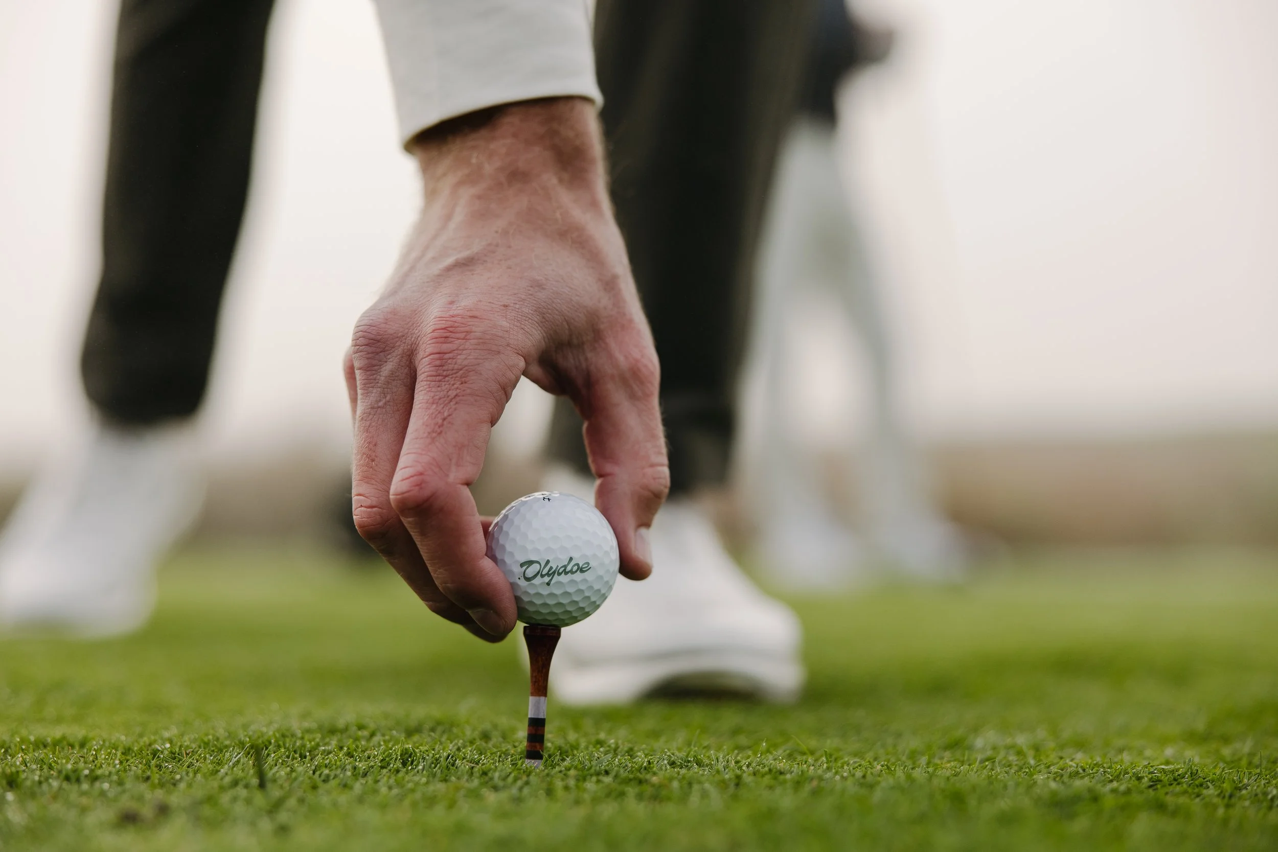 Olydoe - Content Gallery