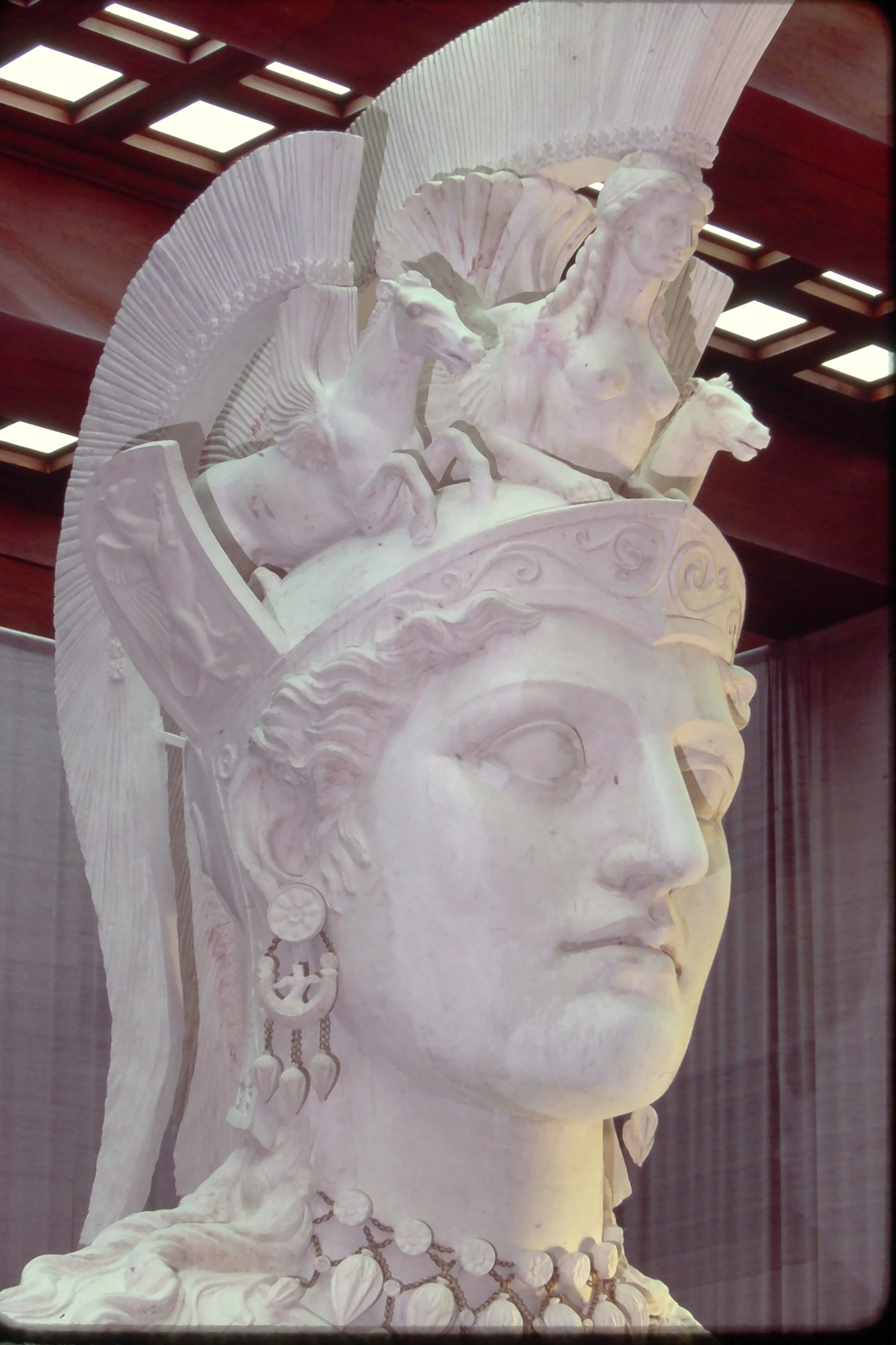 IMG00809.JPG