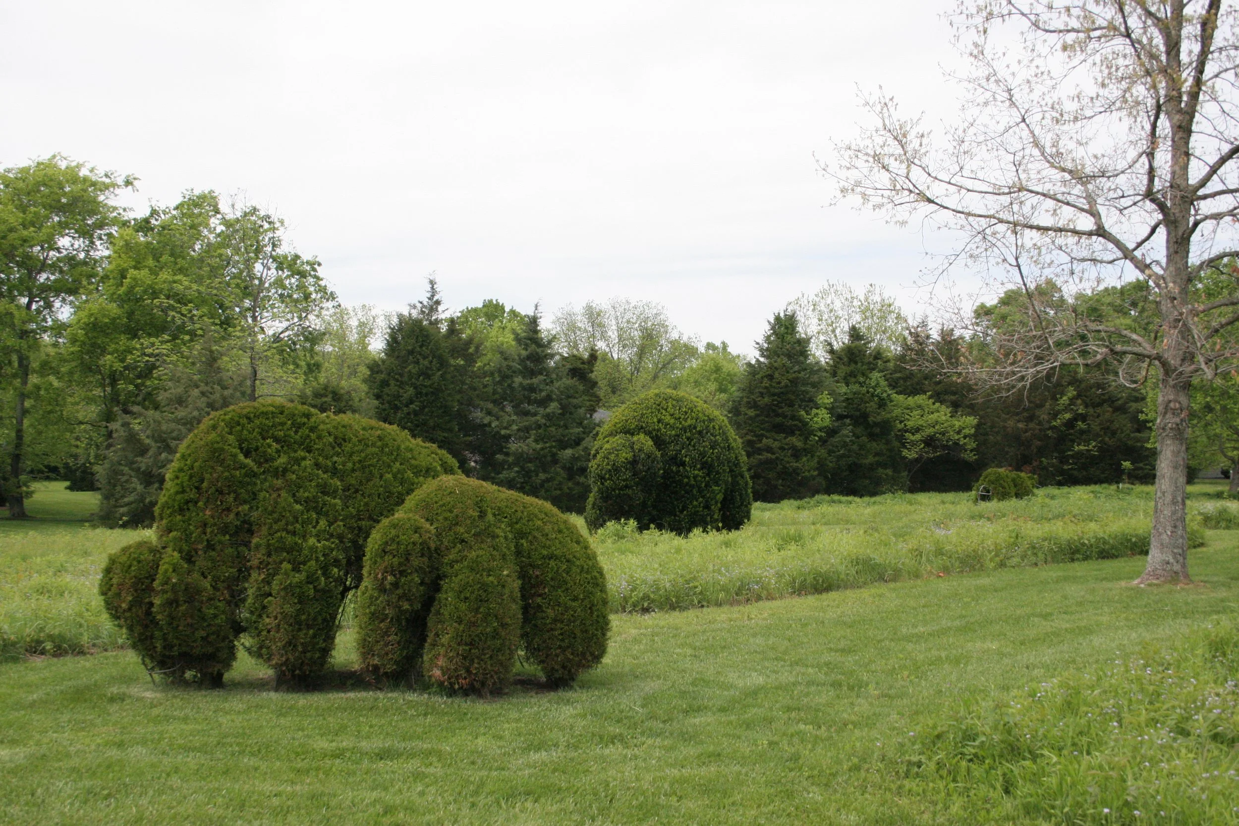A scenic outdoor view of a lush green park with various trees and shrubs, a well-maintained grassy field, and an overcast sky.