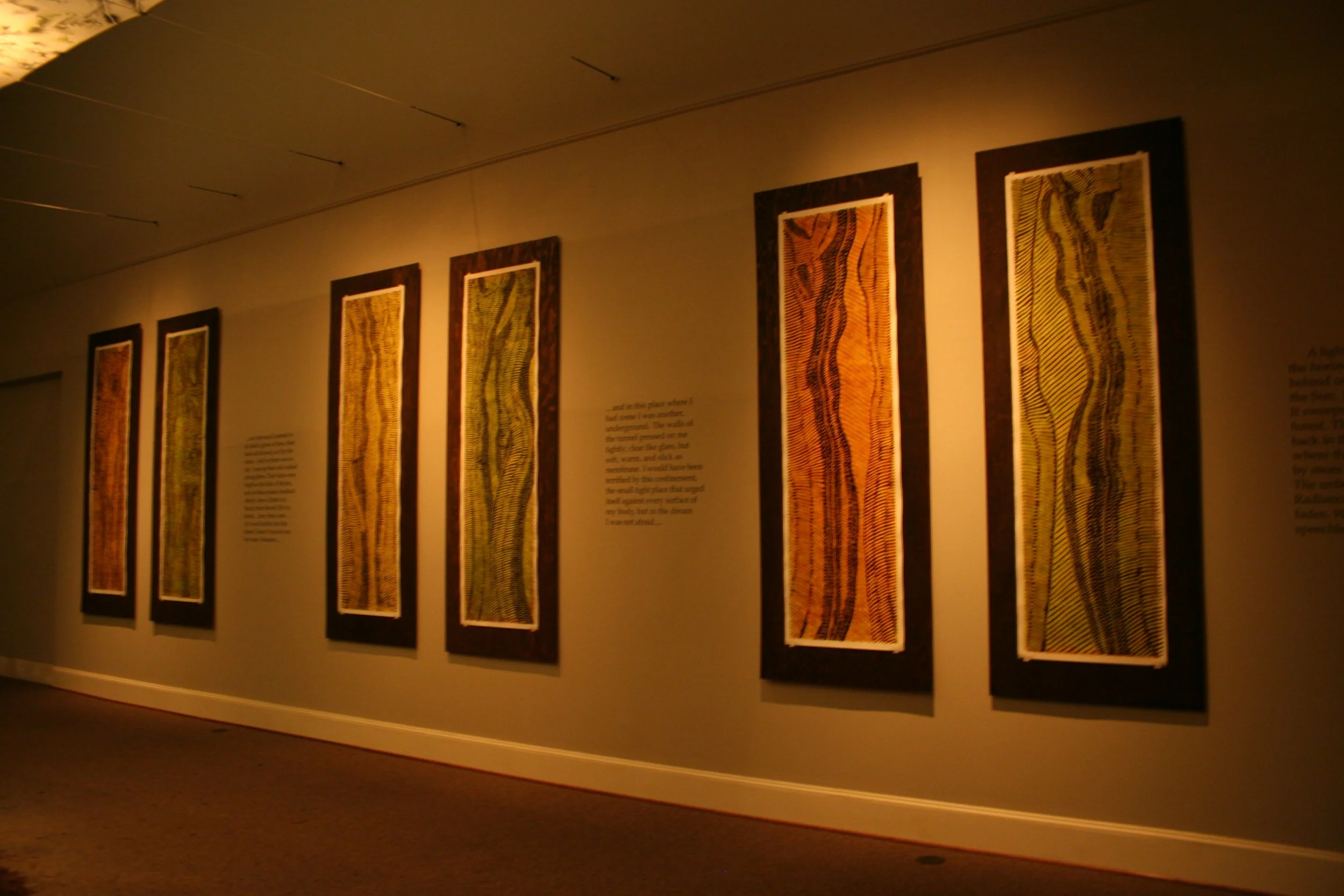 An art exhibition with framed textile artworks displayed in a dimly lit gallery, with some text panels on the wall nearby. Dream Forest Wood Block Prints.