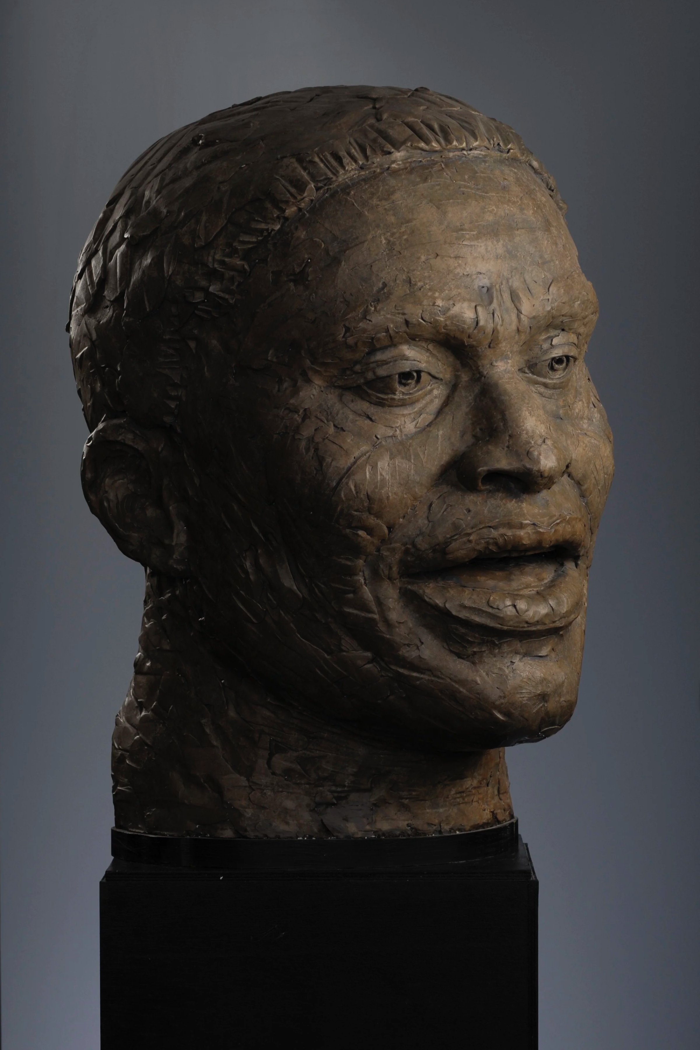 A bronze sculpture bust of a man with short hair and a mustache, mounted on a black pedestal.  Cultural Heroes