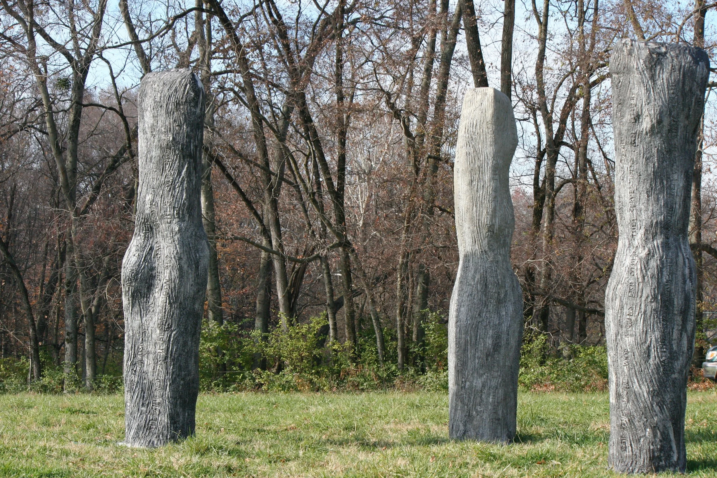 IMG_7557.png