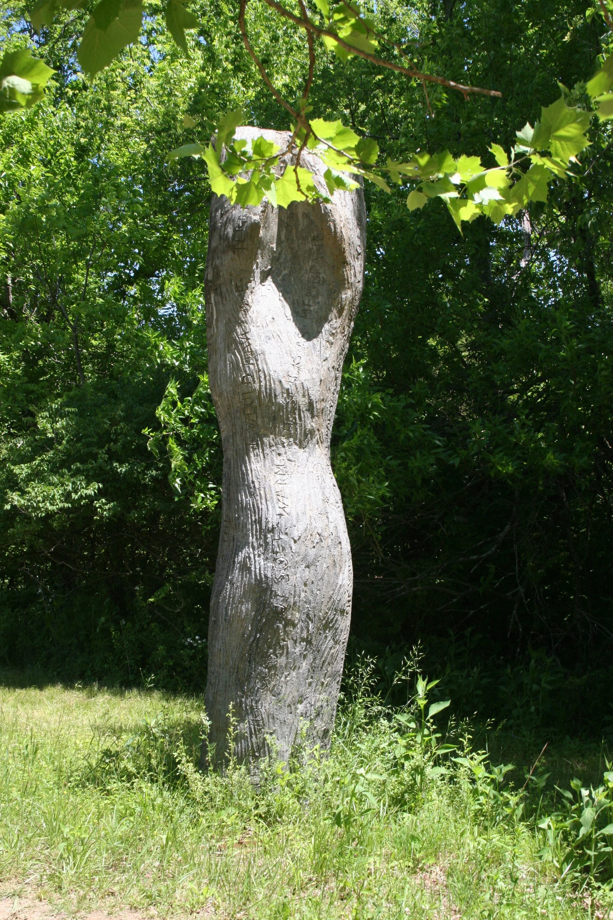 IMG_5590.png
