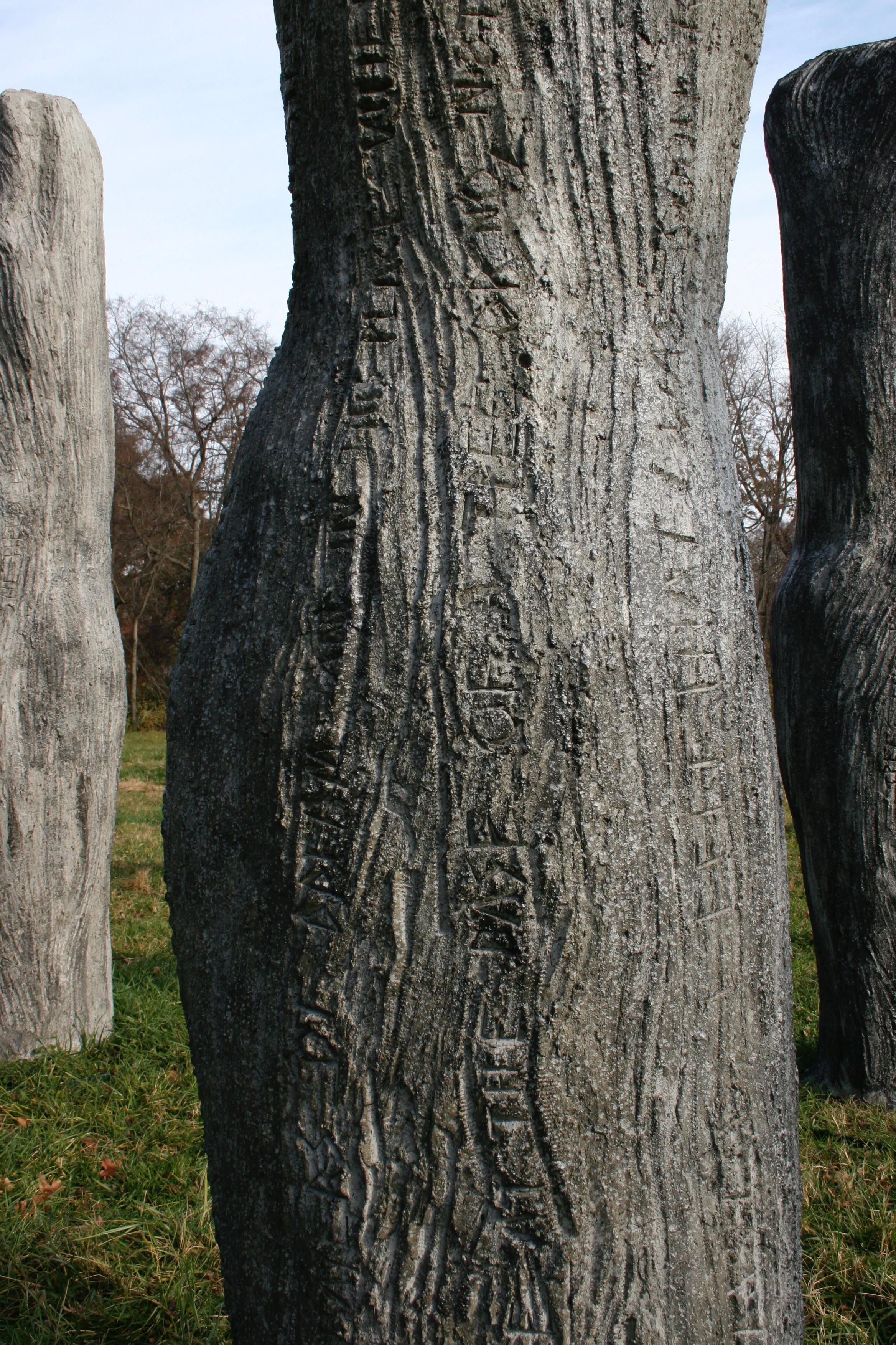 IMG_7541.png