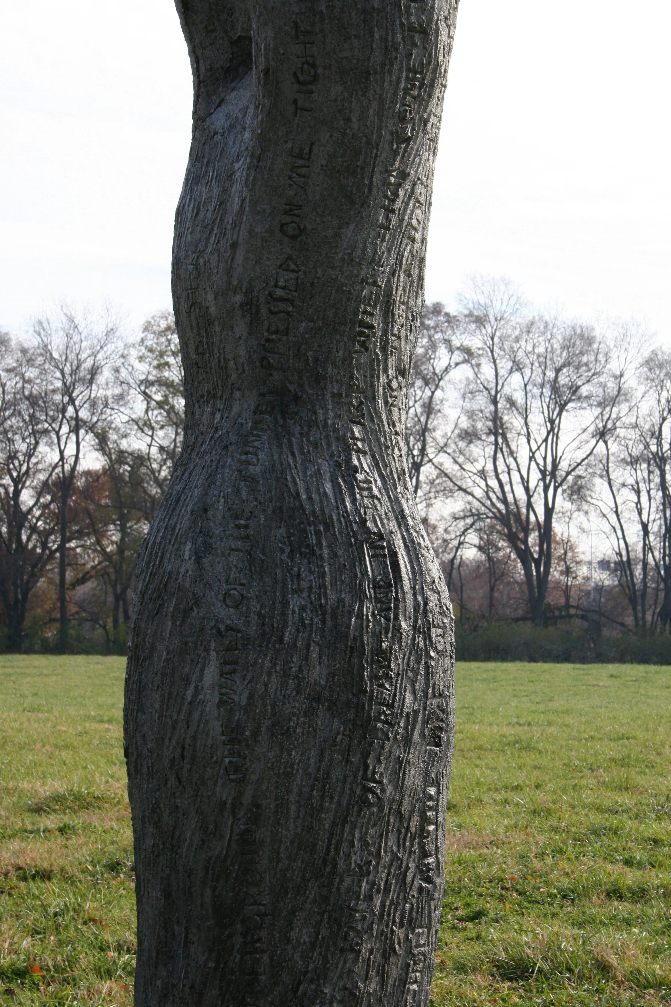 IMG_7534.png