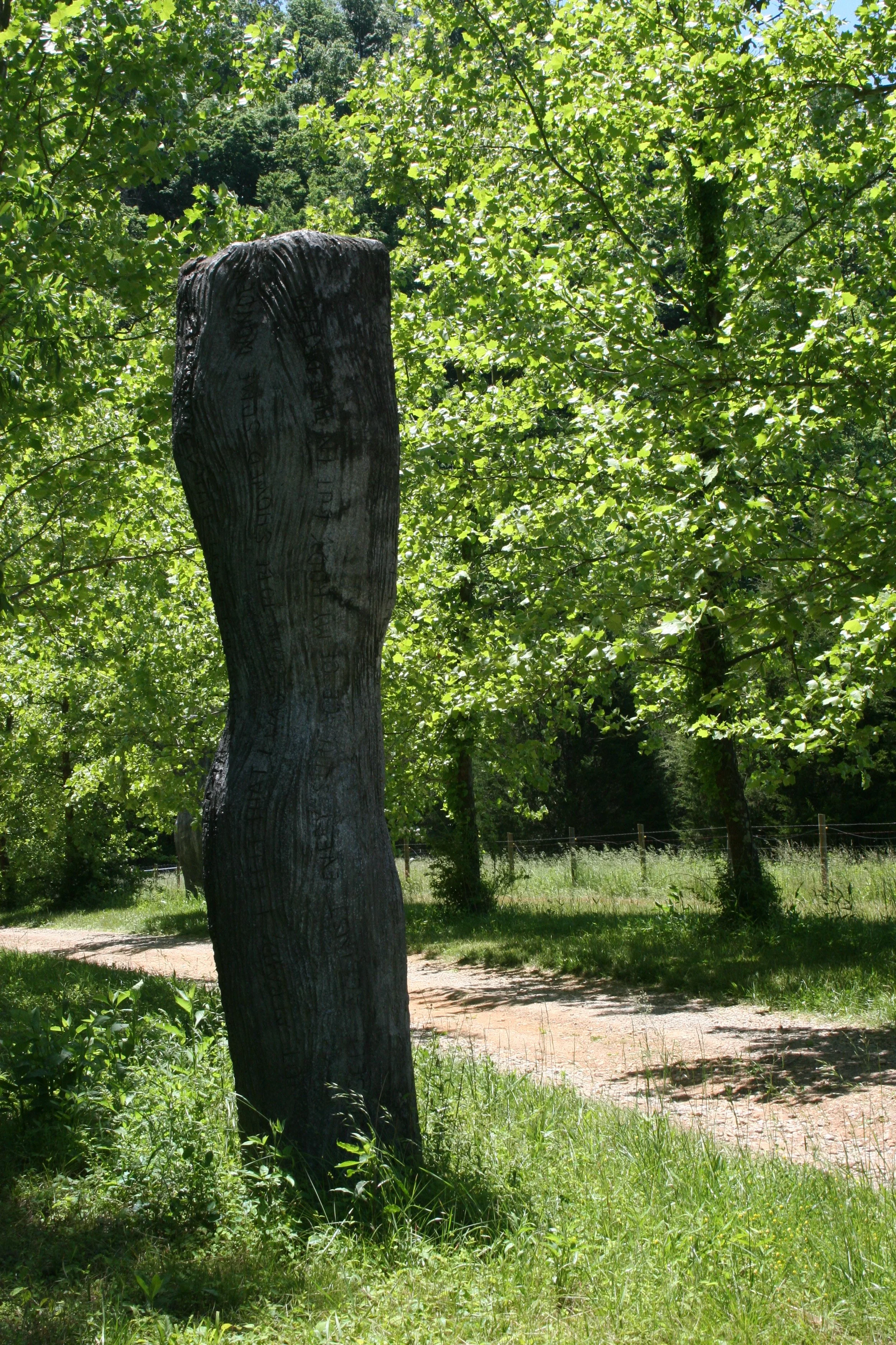 IMG_5593.png