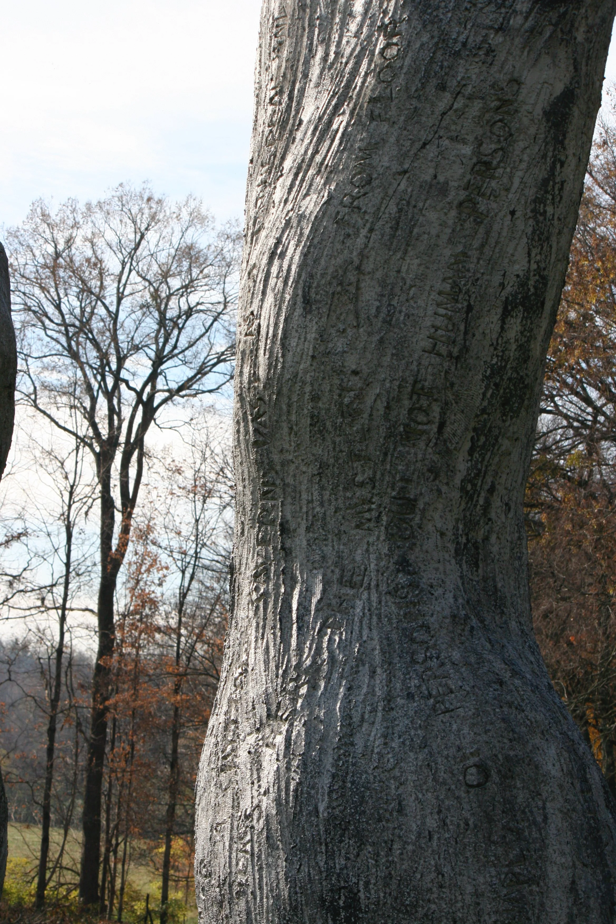 IMG_7558.png