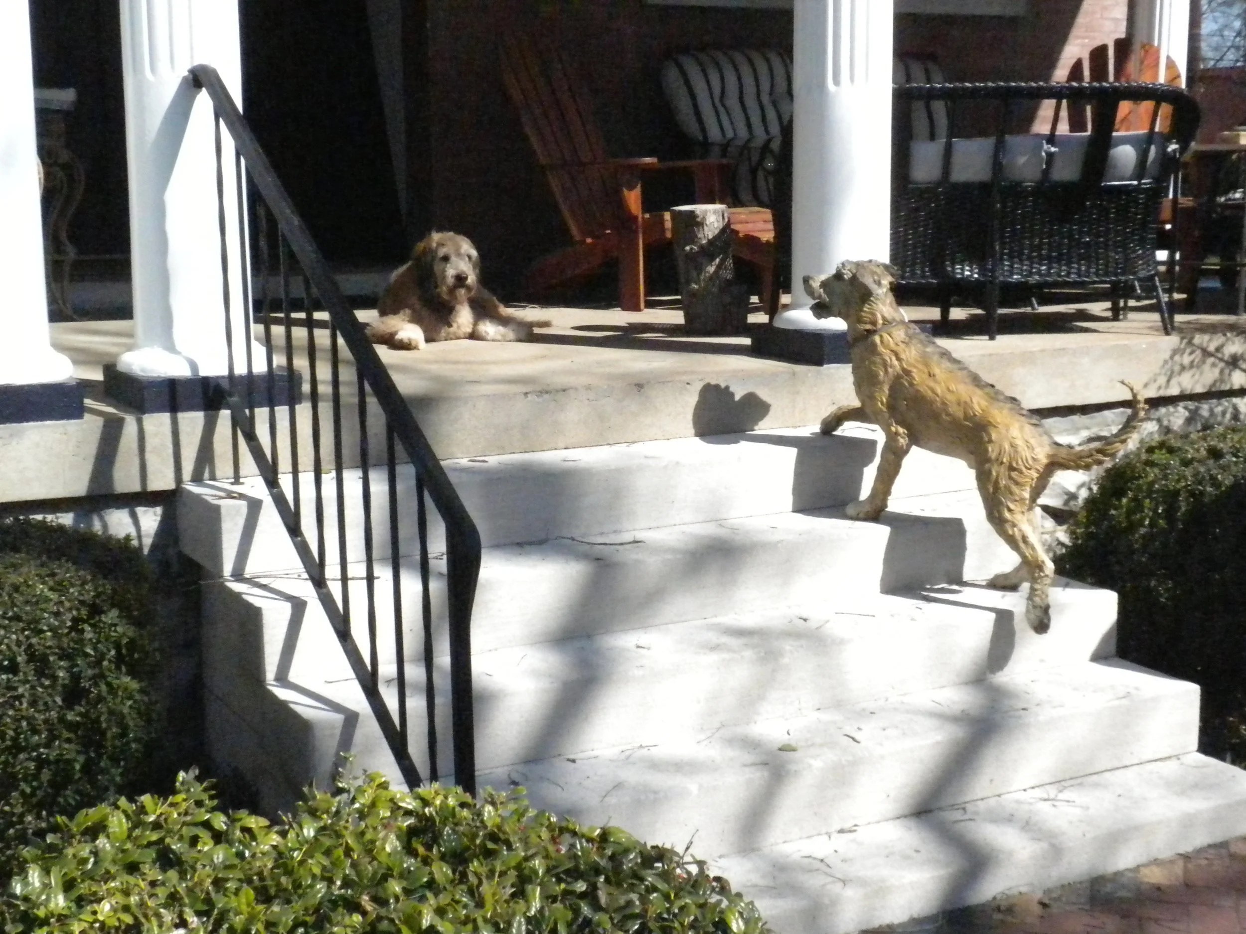 A dog and a puppy sitting on a porch. The porch has furniture including chairs and a table, with a decorative dog statue in the foreground. Sunlight and shadow are visible on the porch.