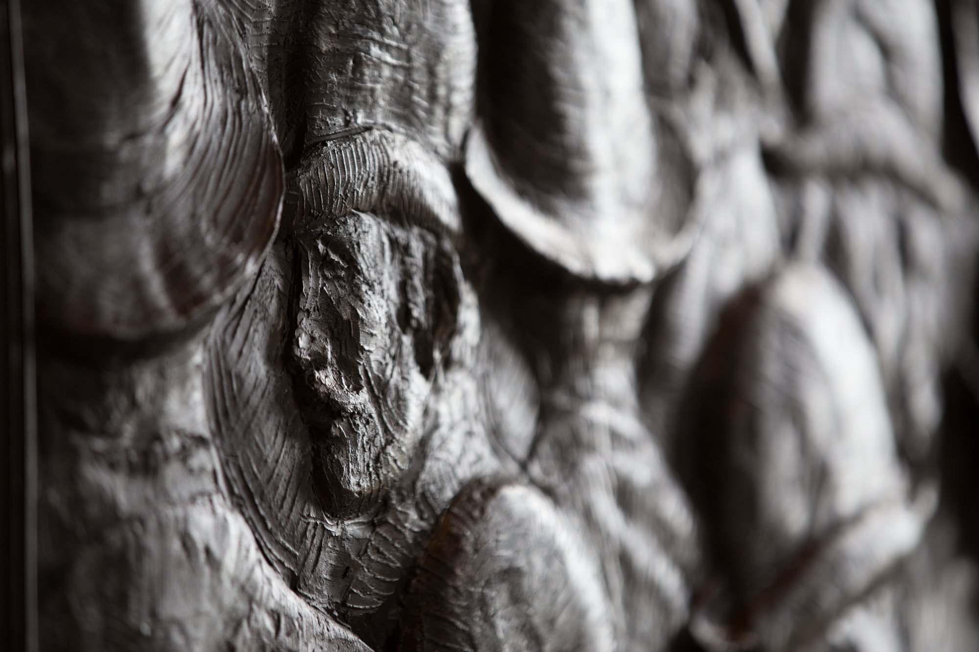Close-up of a textured tree bark surface with deep grooves and ridges, showing shades of dark brown and gray.