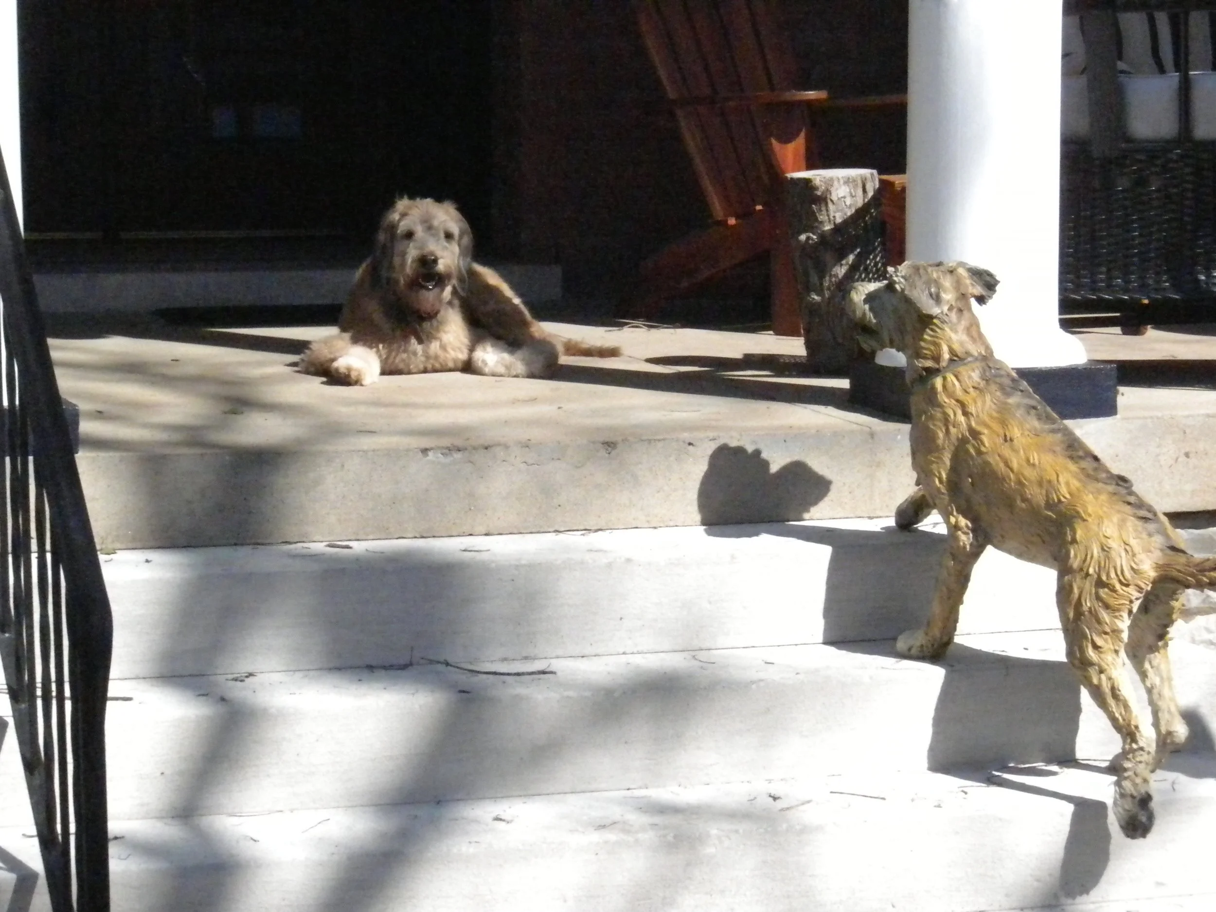 DSCN1897.JPG