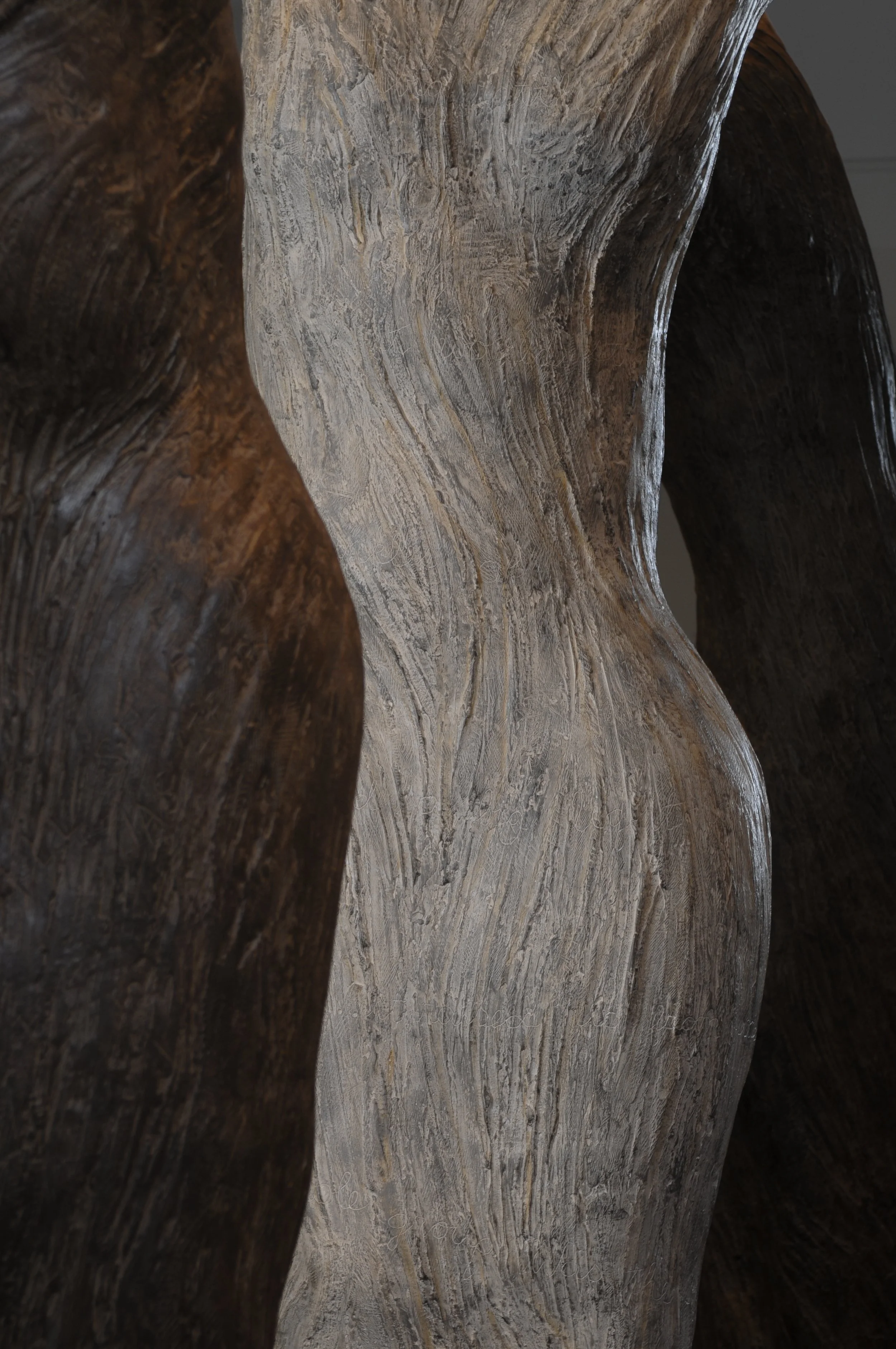 Close-up photograph of a wooden sculpture, showing detailed grain and texture of the carved wood.