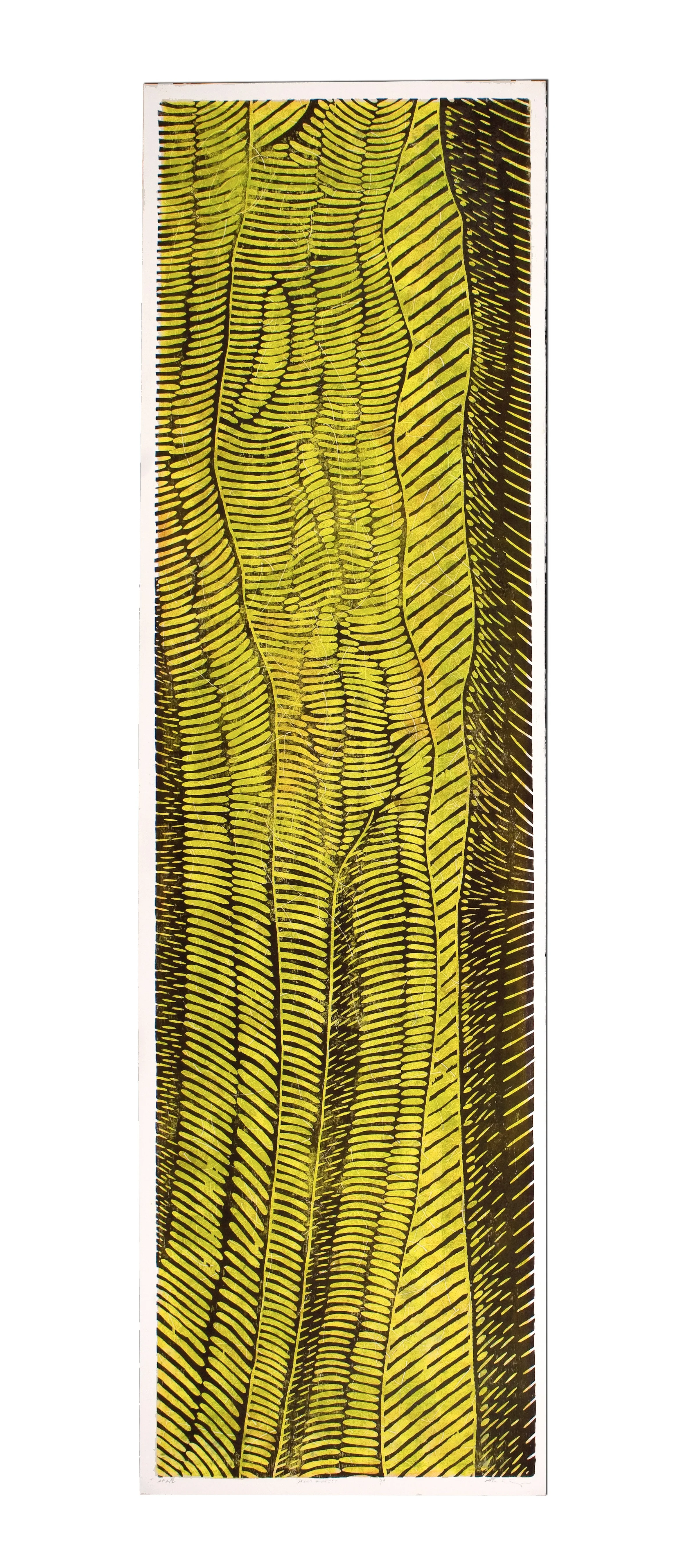 Close-up photograph of a tree trunk with distinctive yellow and black striped bark pattern.